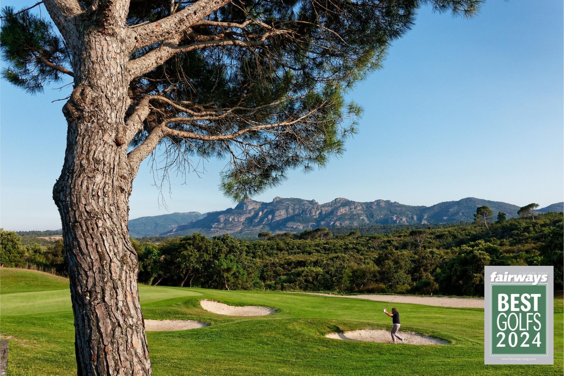 00068ca1-3ebc-481f-a8d8-052477d092ee