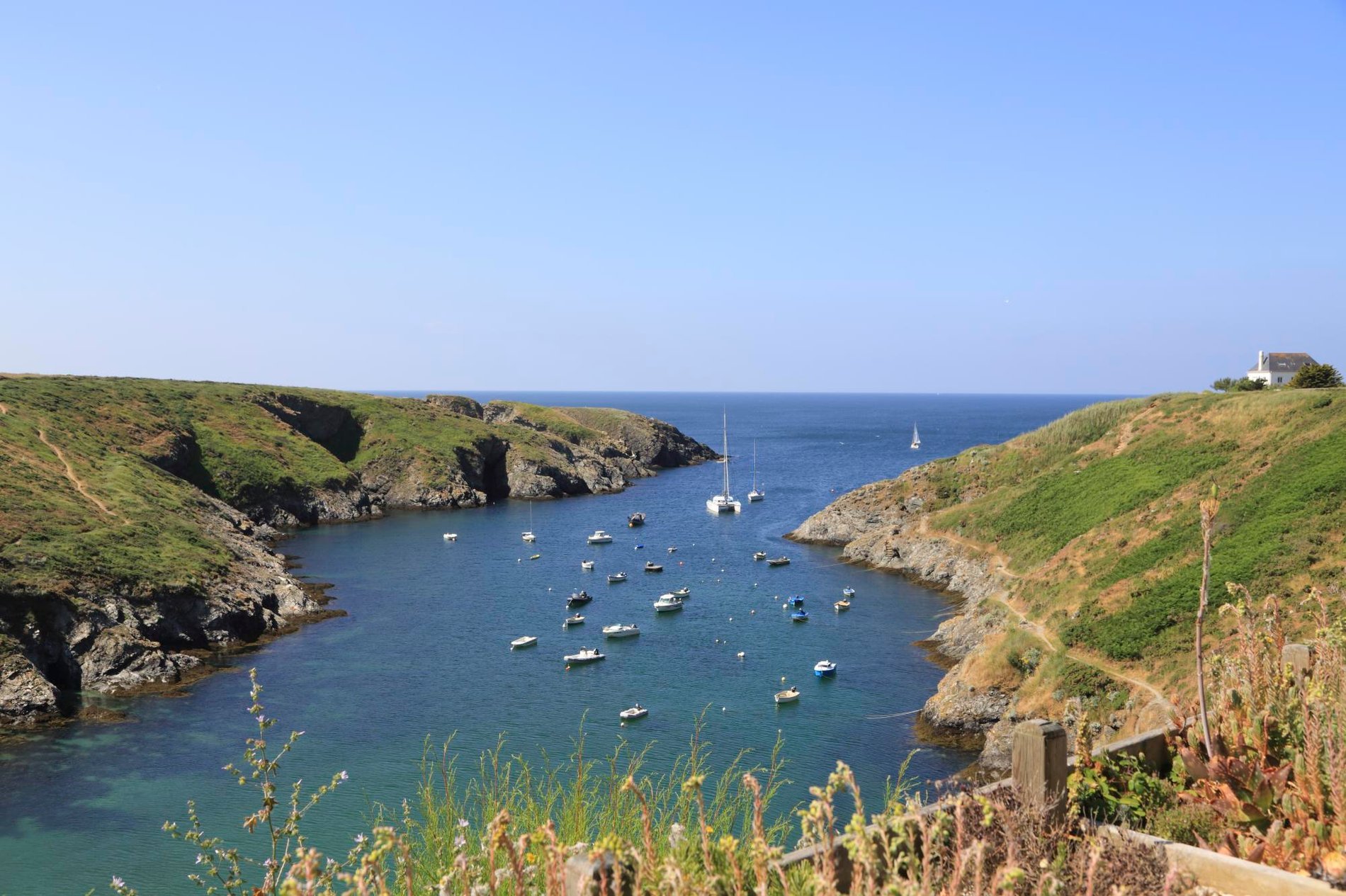 008bcca9-bfa9-4c9d-b143-92a05ea2a822