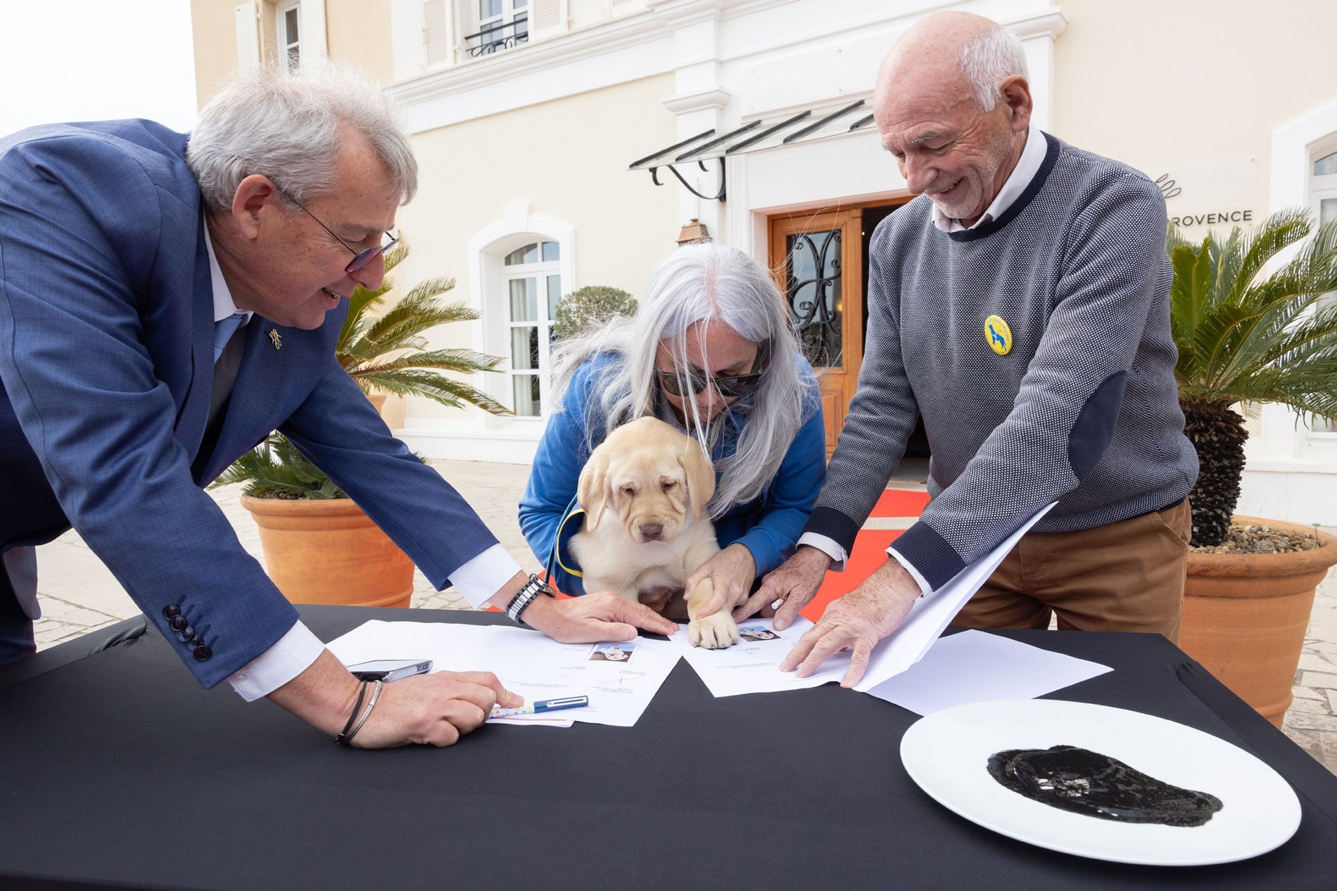 00a86bfc-bc9f-431f-813b-38aa4c6062de