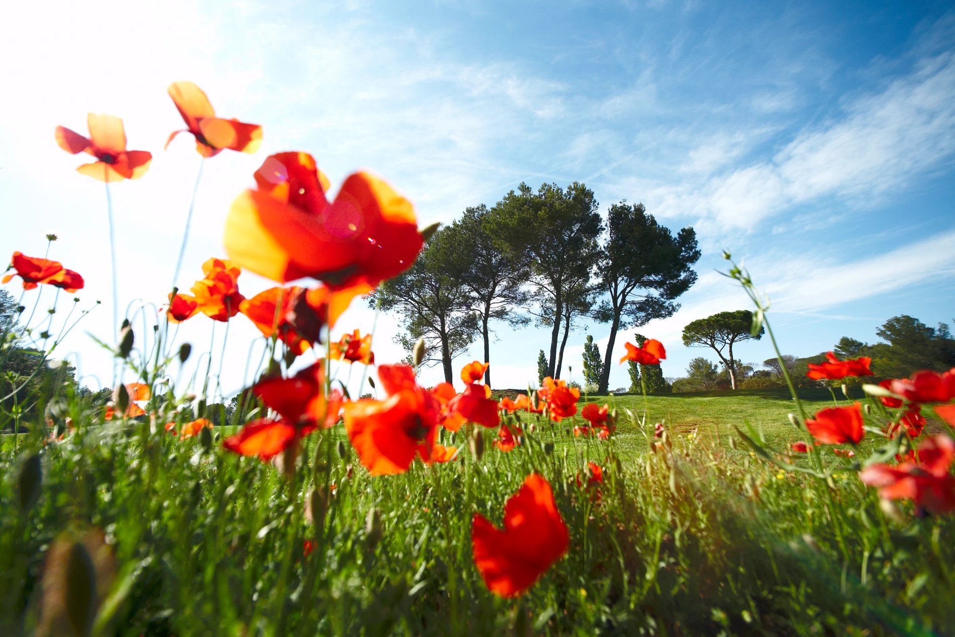 0225c9e3-cb83-41be-a2e6-ddae0b58c0ca