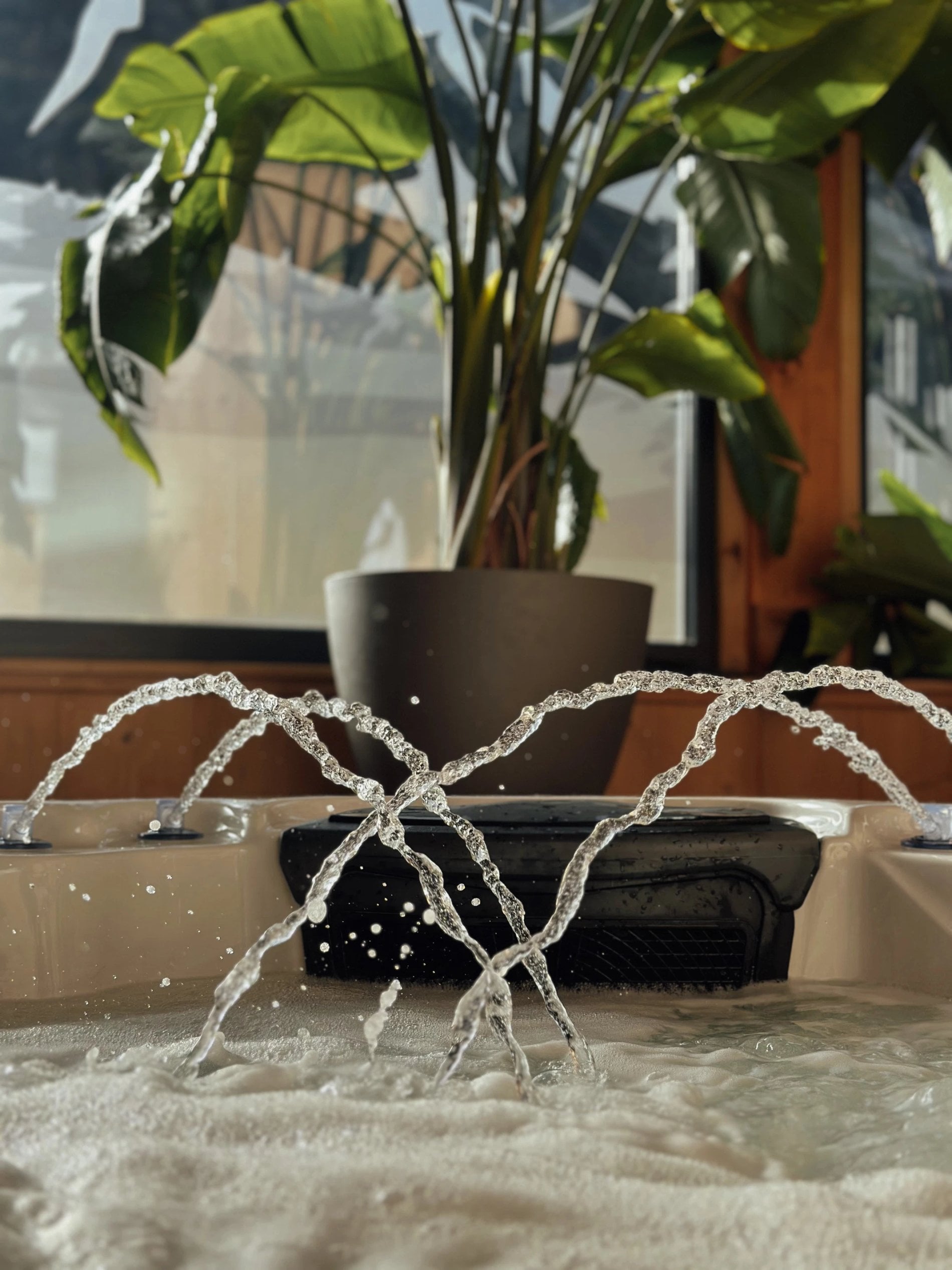 025843e0-d56a-48c9-a631-e6e8e994a9f9