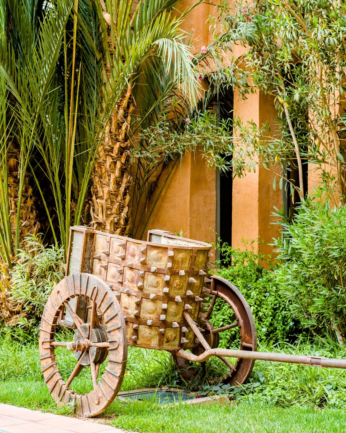 Le Berbère Palace, Majestic palm trees in the gardens of Berbère Palace