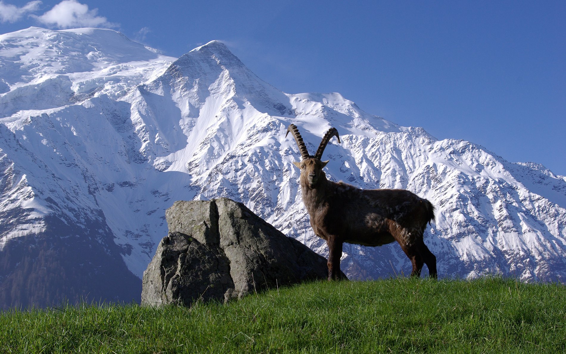 04c363f2-496c-4d2e-bb9f-cfa6433ae854