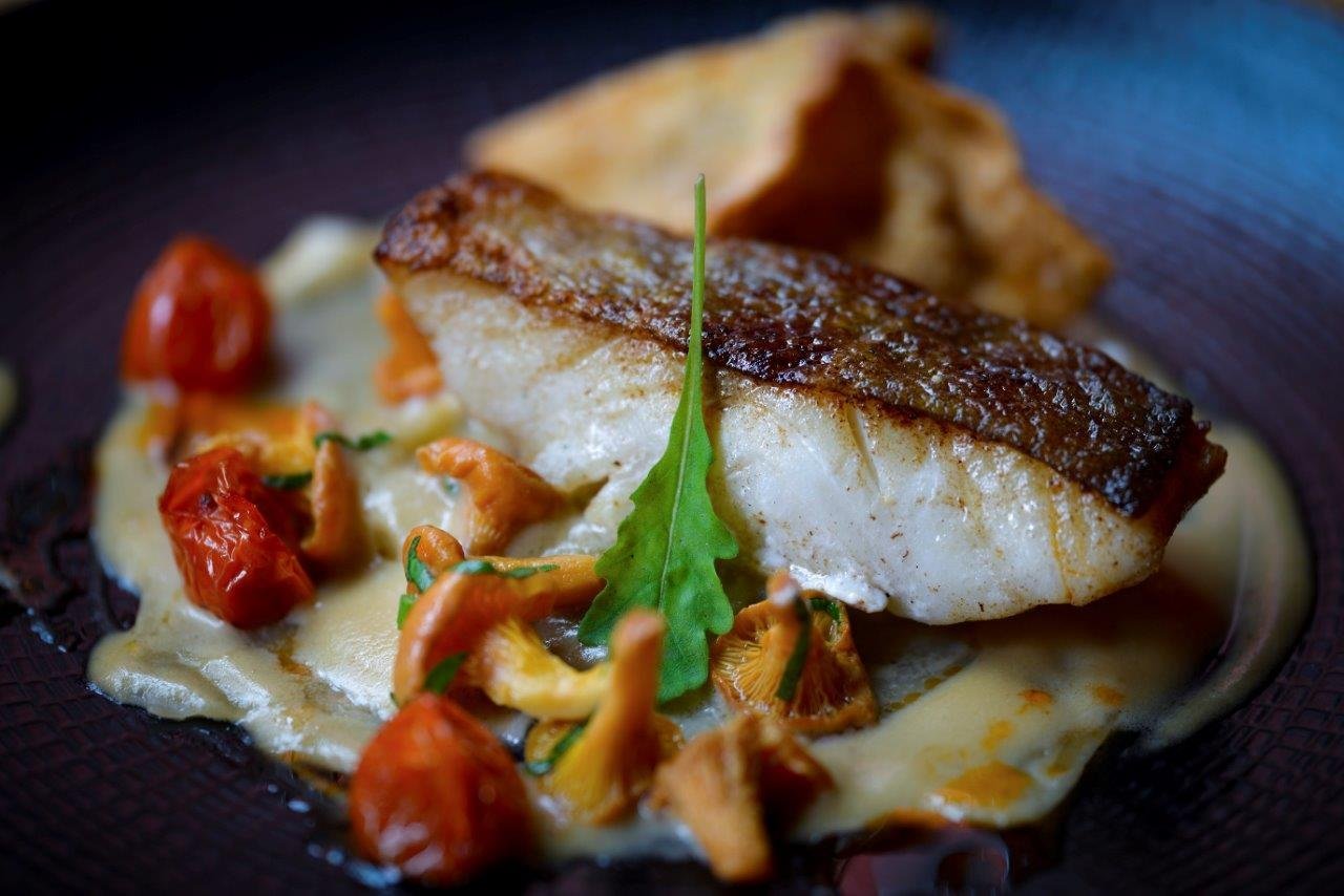 056adfcc-ed5e-4add-82e8-e72176972236