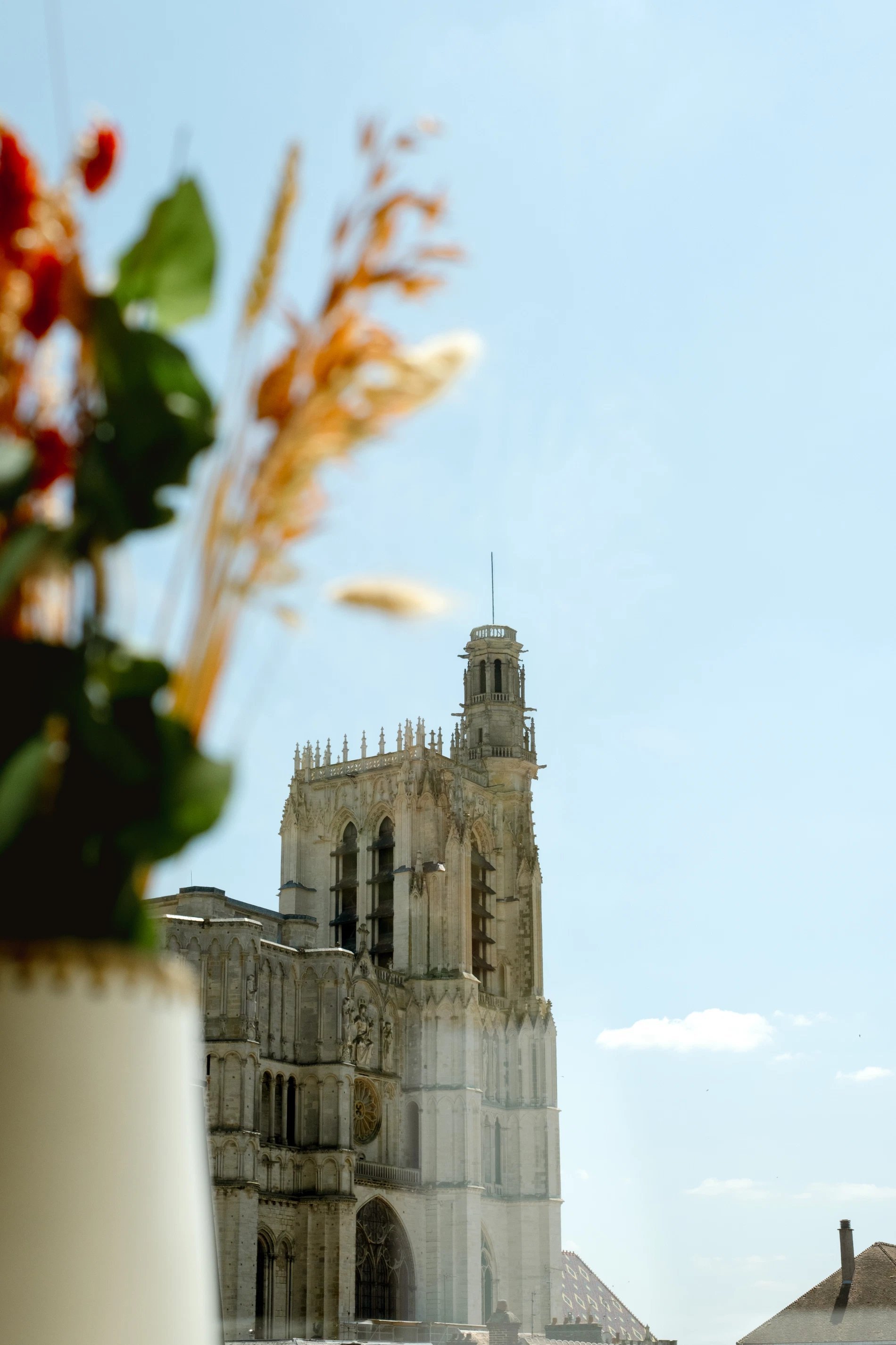 05a75a2d-d67d-4d6d-8b1a-24e0143b6547