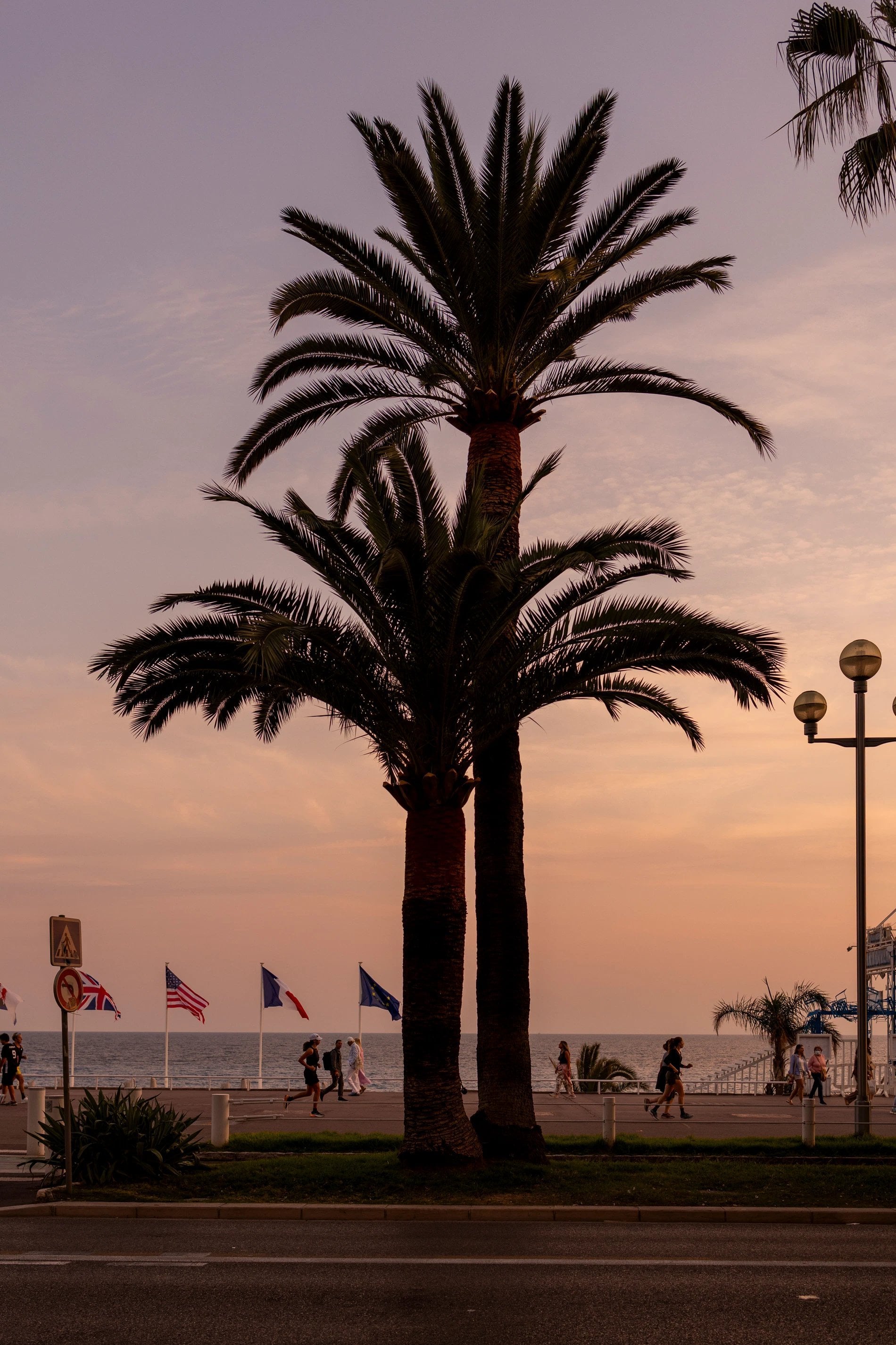 05cd48ba-a787-42db-a3c8-de9dceb450e8