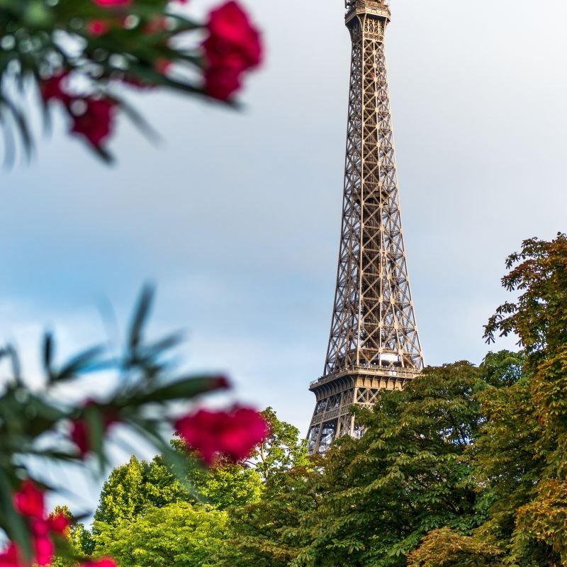 06fb61b6-4768-488d-94f3-96e0659dad62