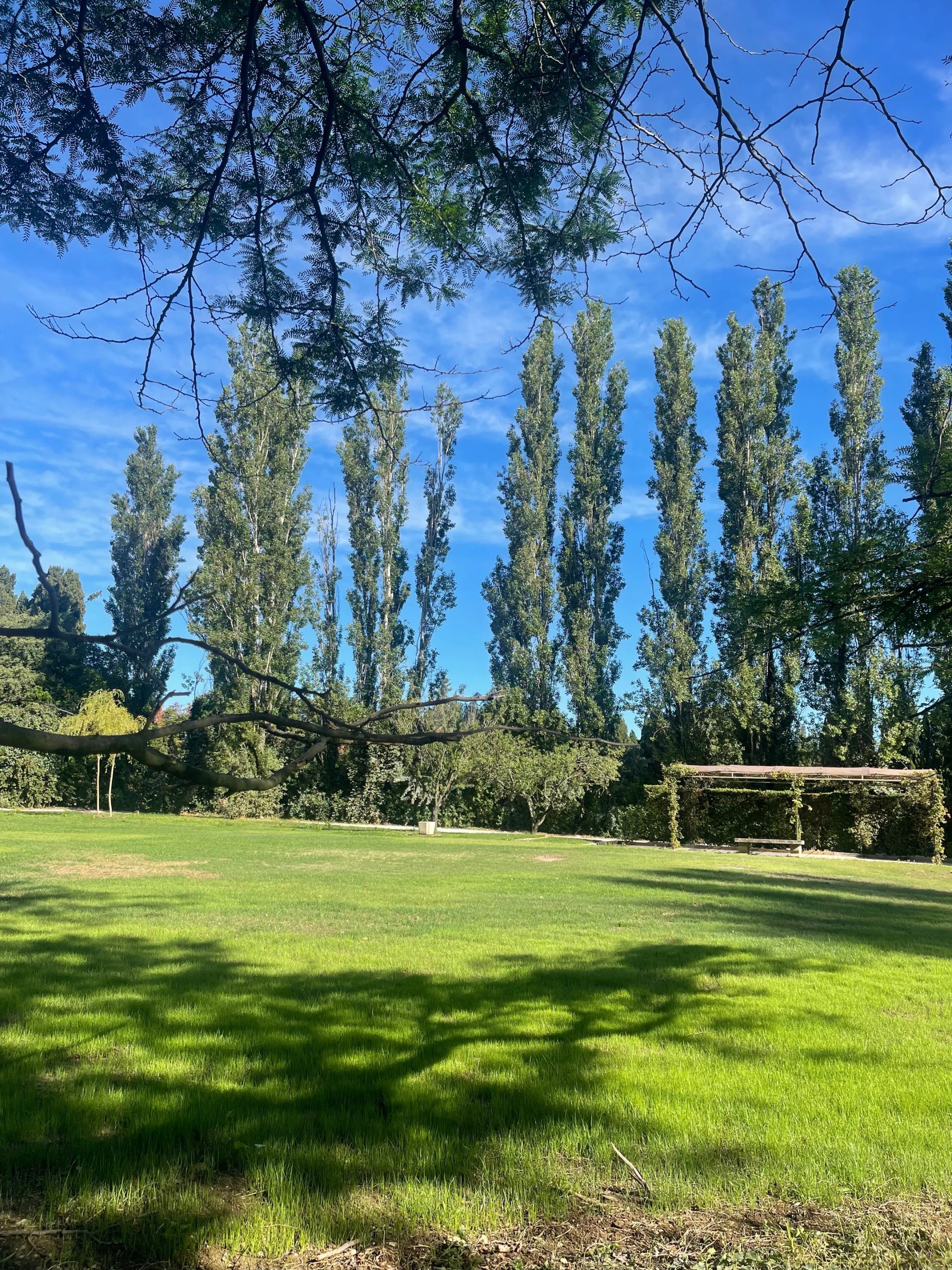 0790b351-1ed8-4d83-bf5c-5550ce7b9d2c