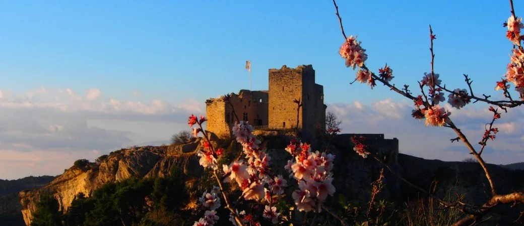 07ab1007-3ef3-4bce-8c29-73d0cde164ff