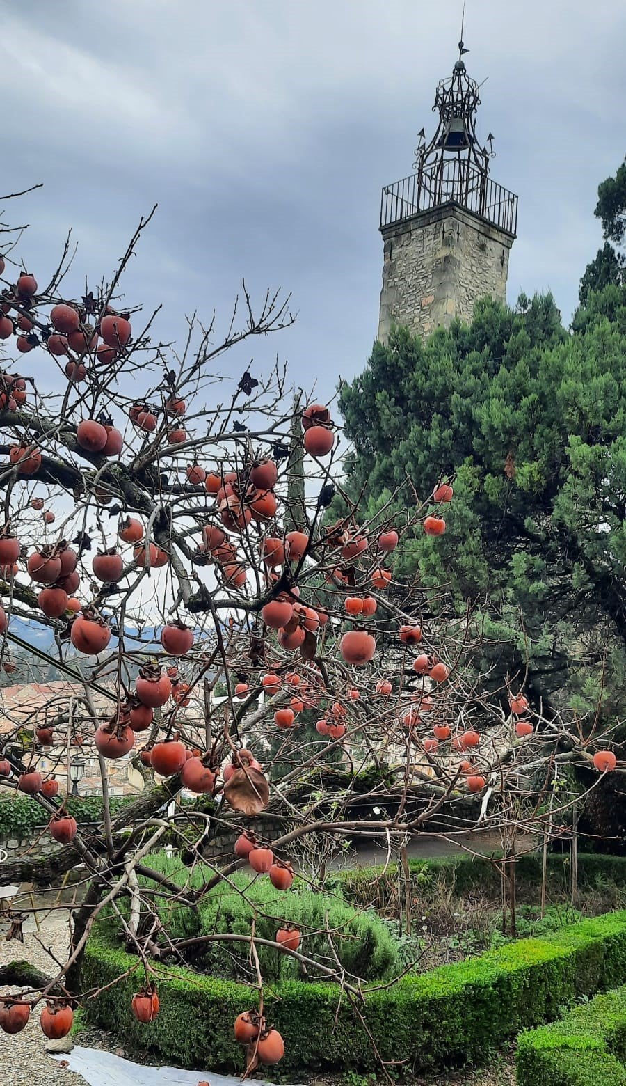 080a3918-f6d2-4221-bc6f-ba83653318d7