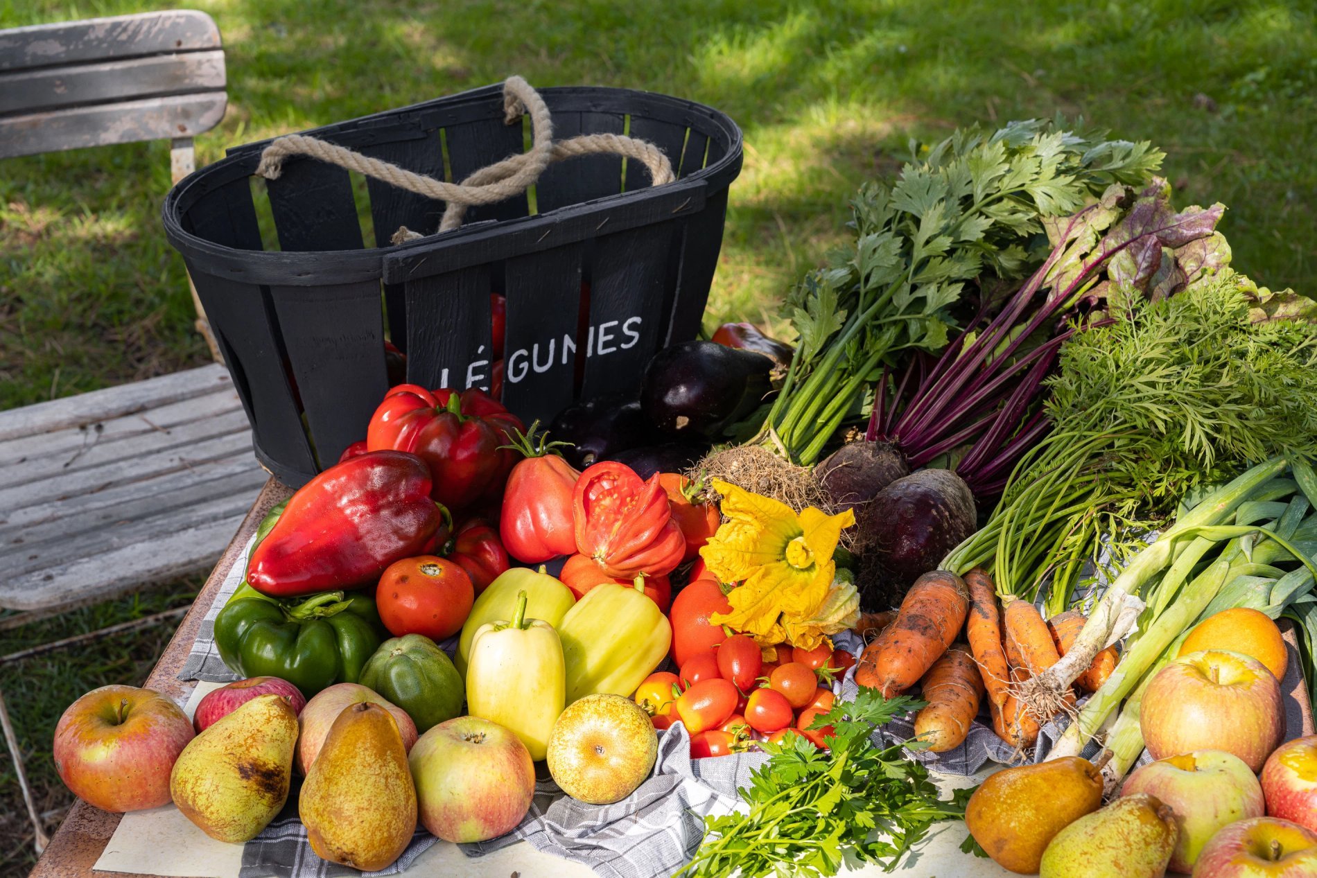 0912a194-2a20-487e-8ebd-410439b4b7cd