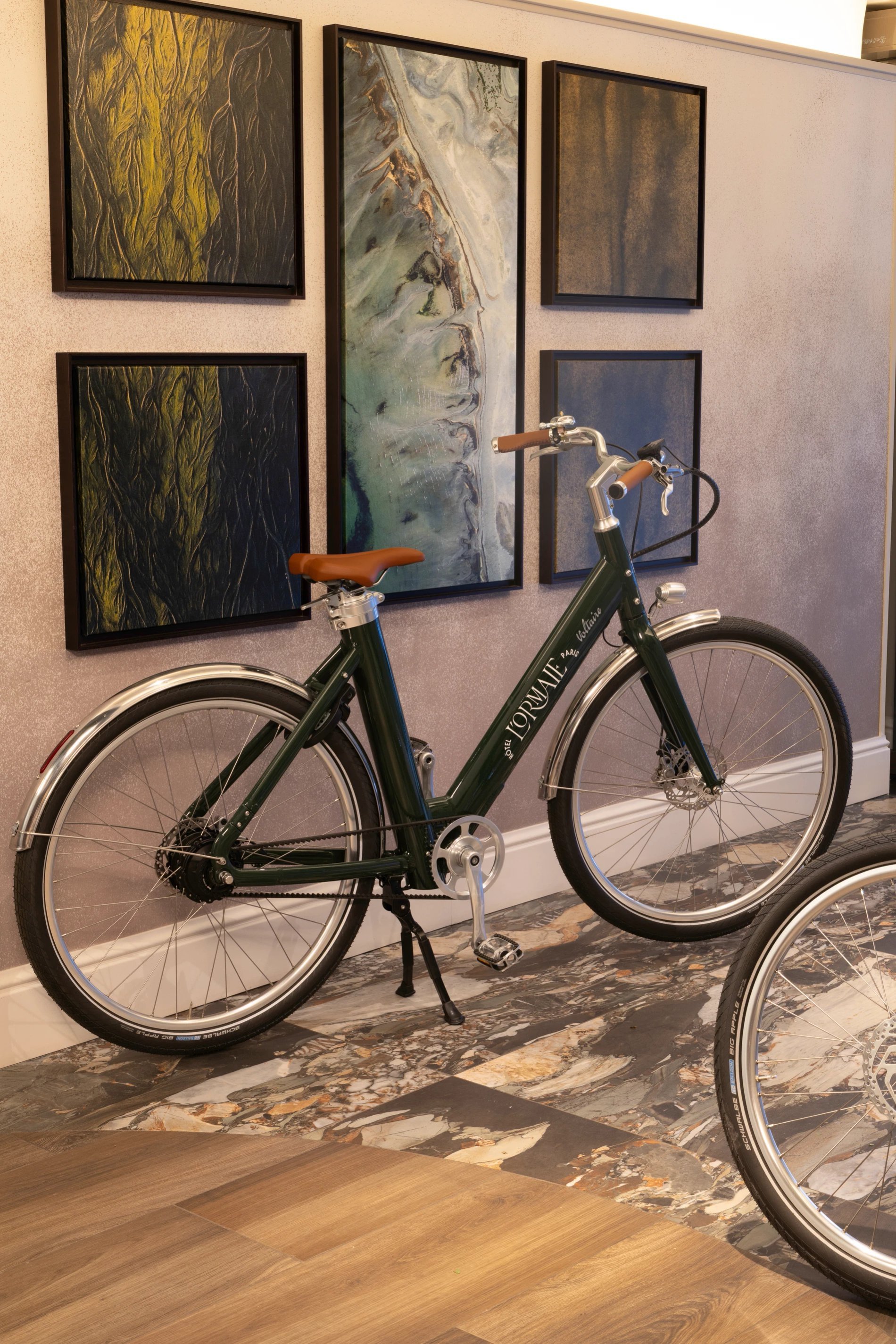 Hôtel L'Ormaie Location de vélos Voltaire