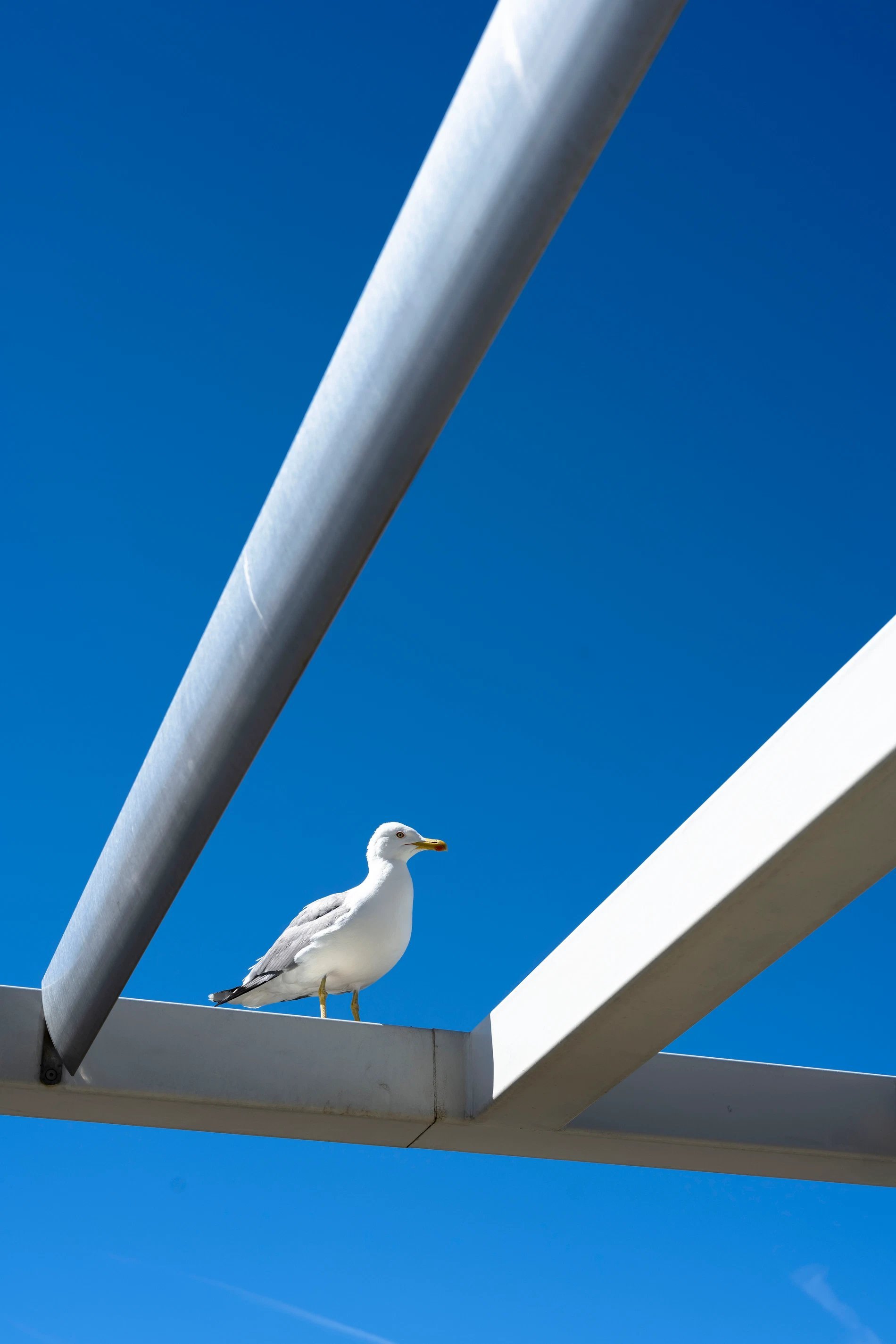 09882403-aa1c-4e13-afe5-f8eed21b1dcb