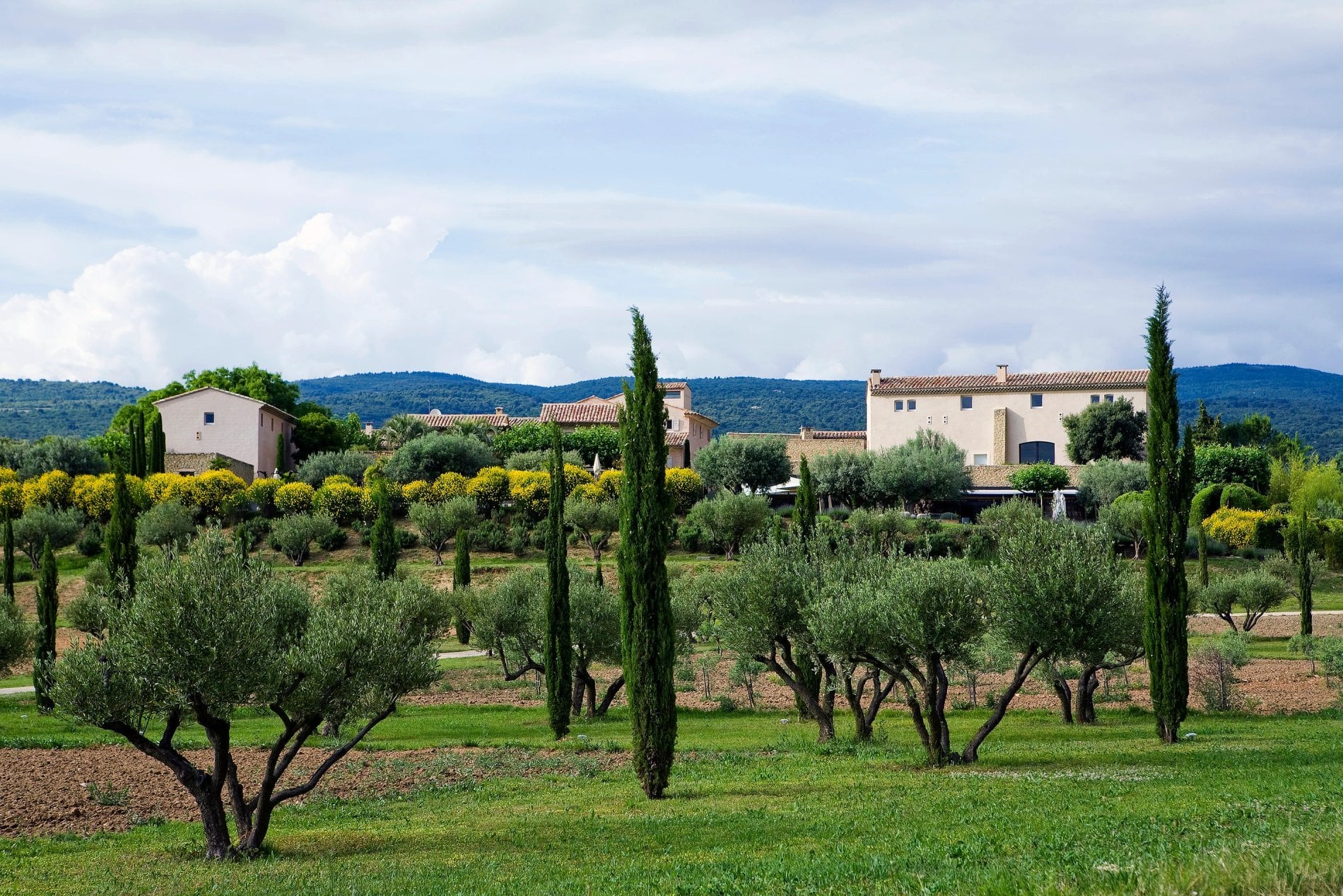 0aa83c98-8c43-4d37-8a22-0356d8abfe69