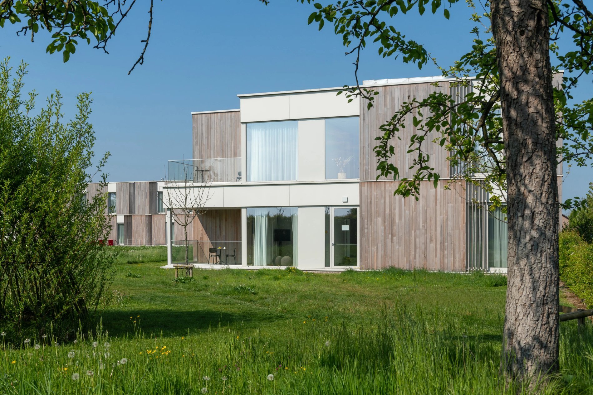 Buitenaanzicht van de Exceptional Garden kamer omgeven door groen.