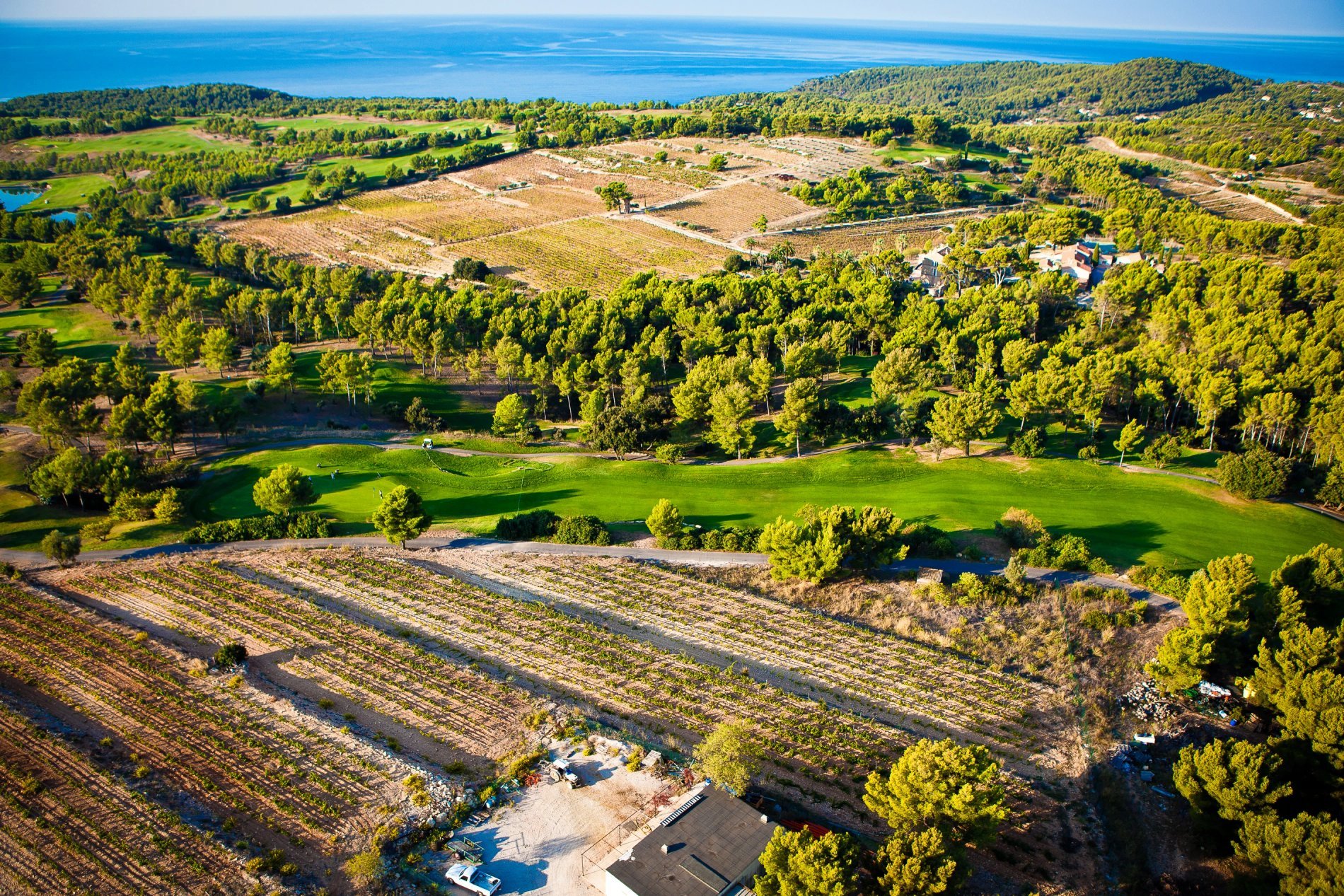 0b217012-6085-4960-95fb-8451b4f593c0