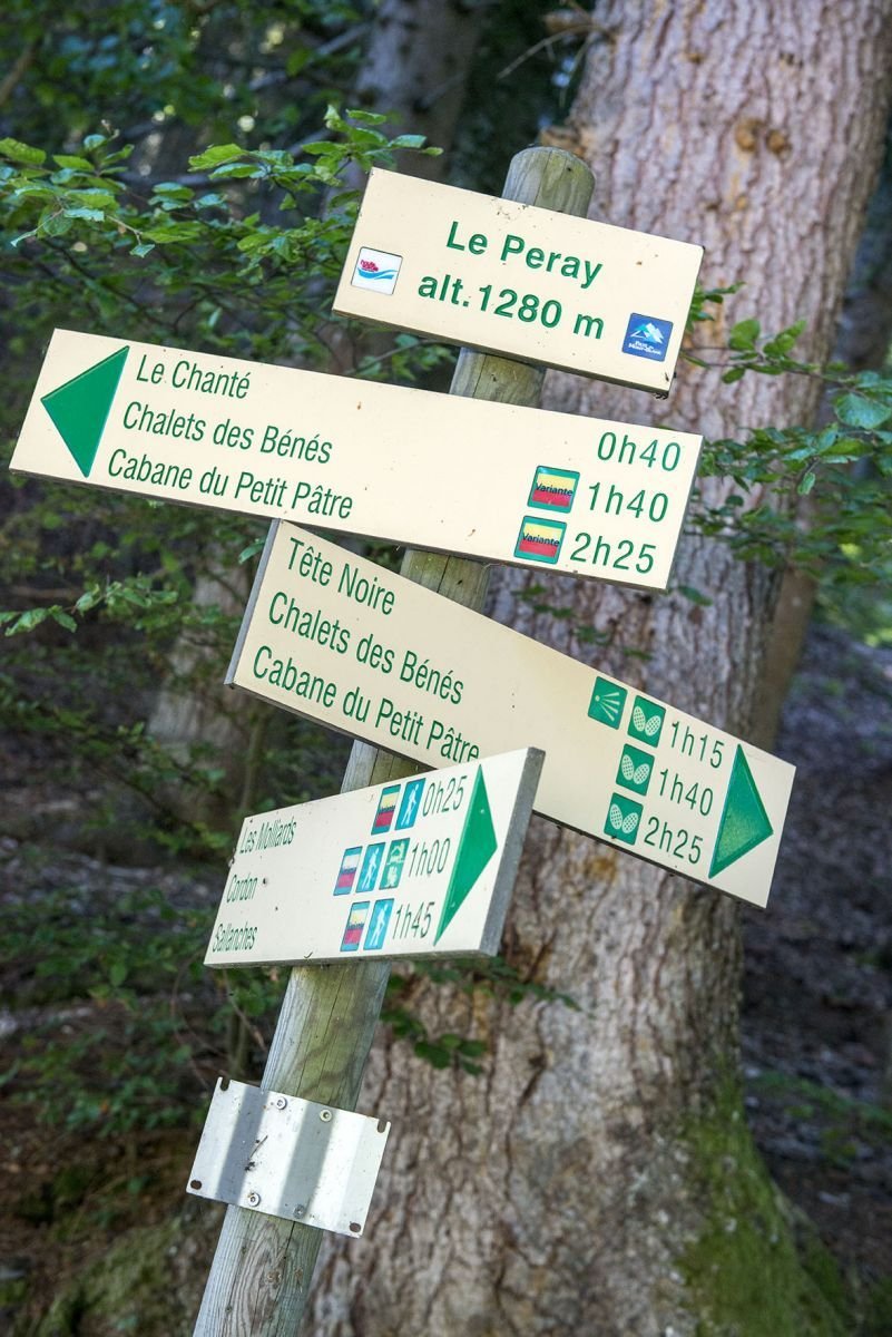 0cdccc37-a5fd-4bea-9d66-4cc1e99a16a2