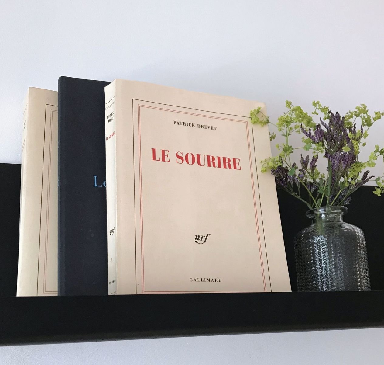 Bibliothèque Vivante 9 hotel Bastille-Lyon Paris 12