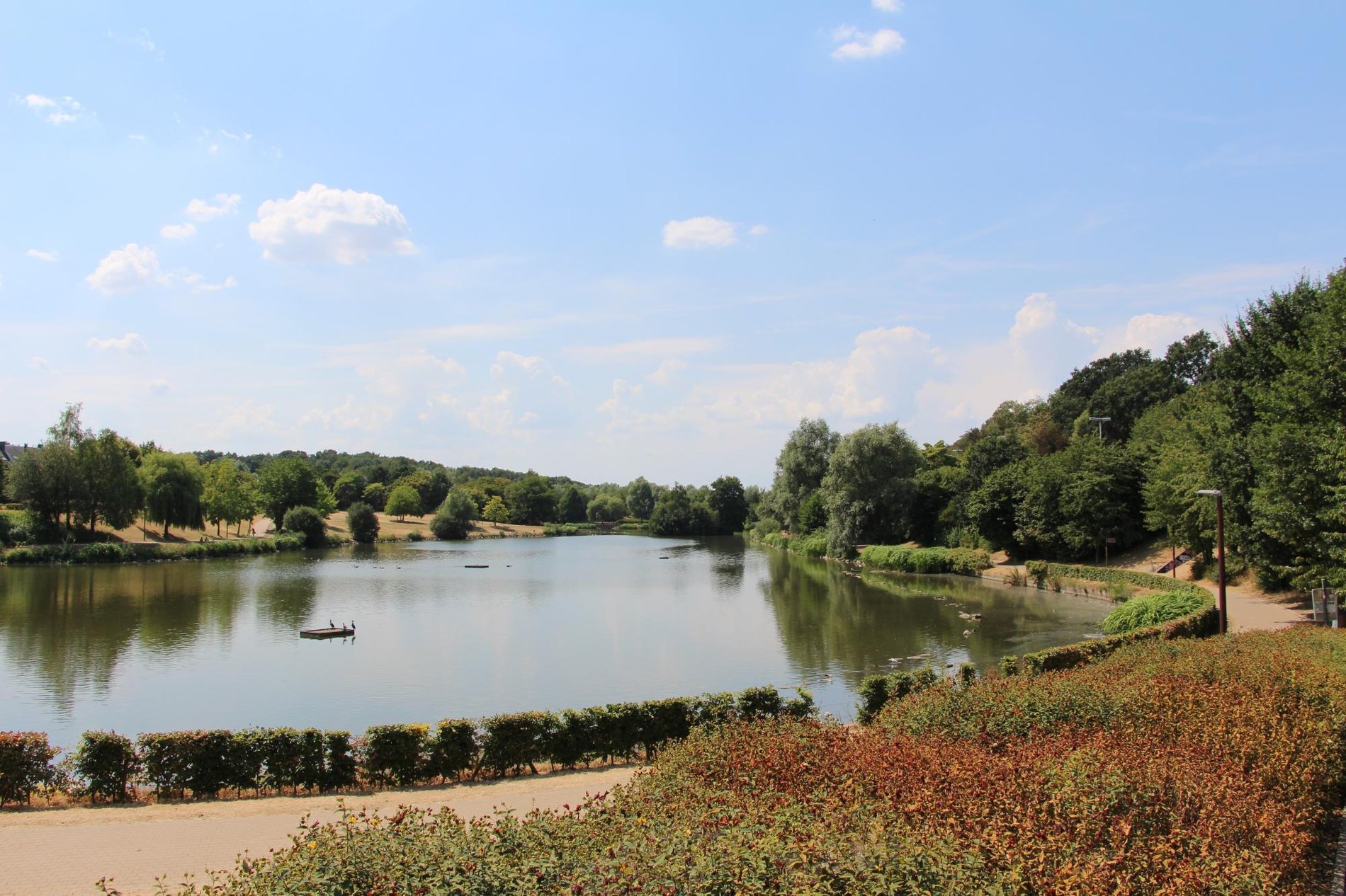 Natuurlijke omgeving ideaal voor outdoor team building activiteiten.
