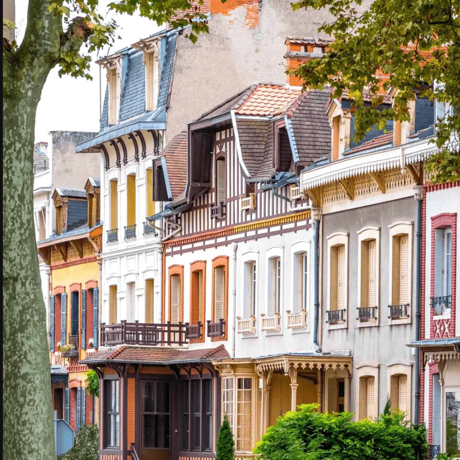 0f1a9e99-e77f-4265-95a9-e264c5149253