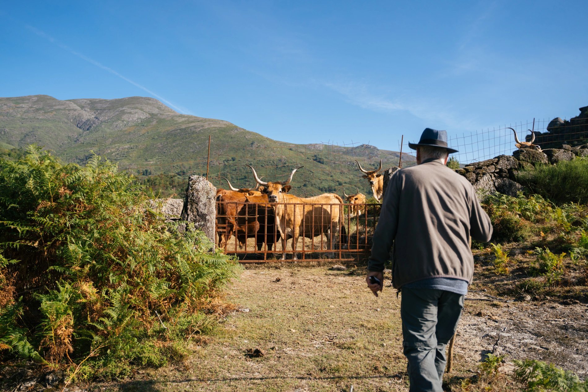 11b84bfd-310a-4562-a41c-aecd6ef73ec3