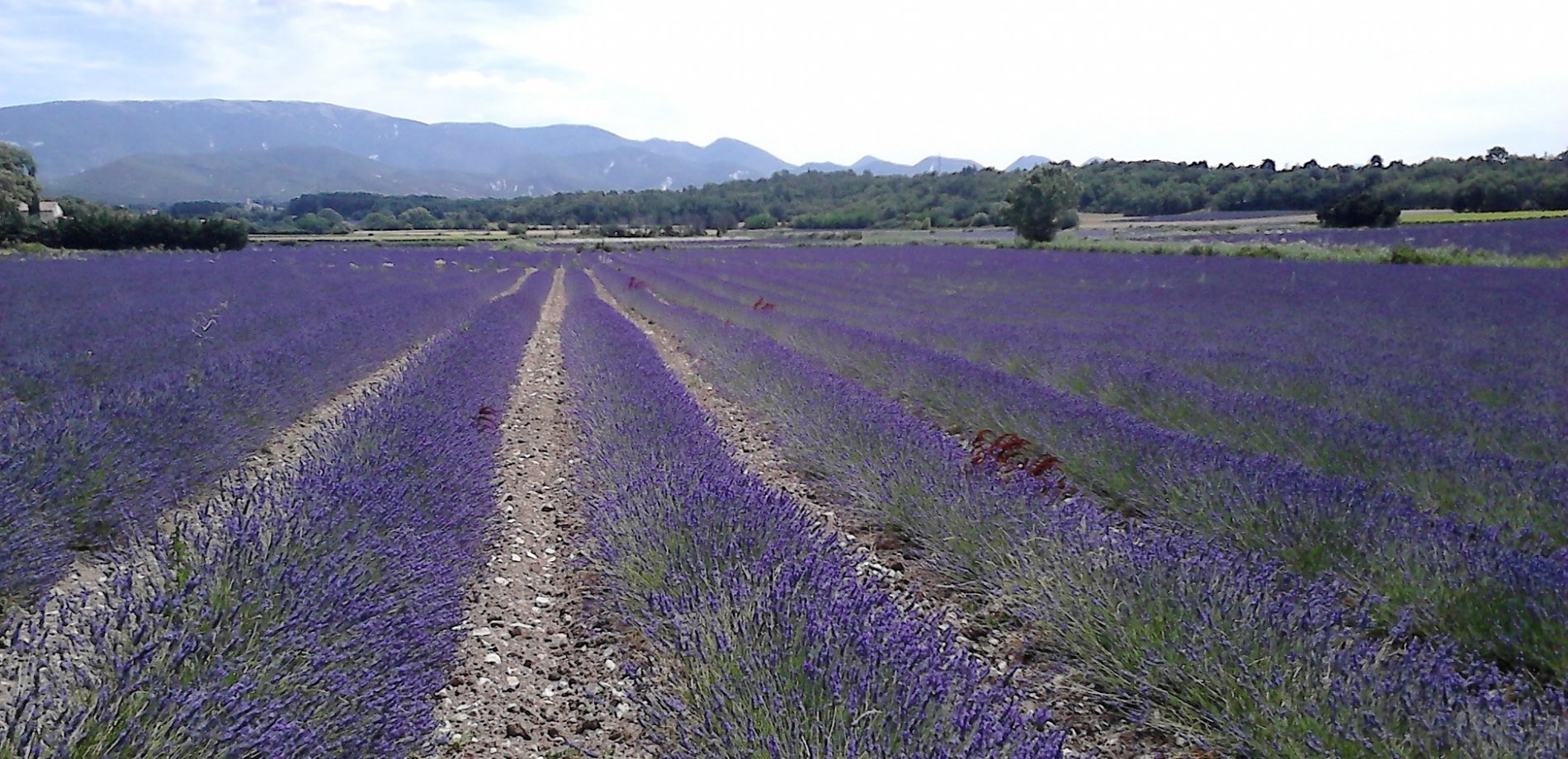 11e59b96-0af7-4865-89cd-c07aa88f5be3