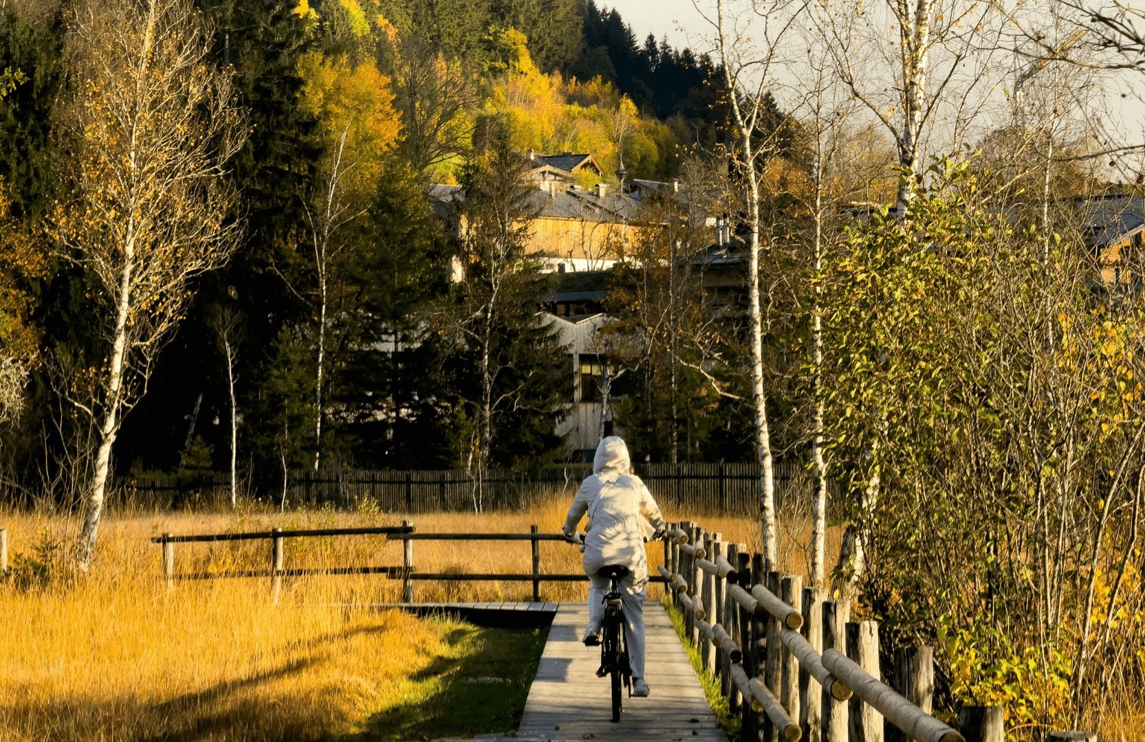 12216b49-461b-48f1-b49a-c90485349c2f