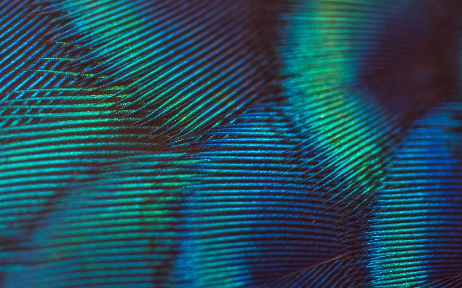 1379479a-5c87-4312-bf13-b8055d12e440