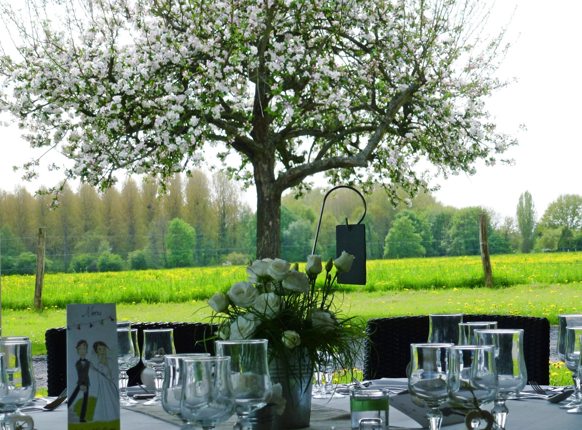 138e61e0-cc17-4850-aac8-c2b8cac459f0