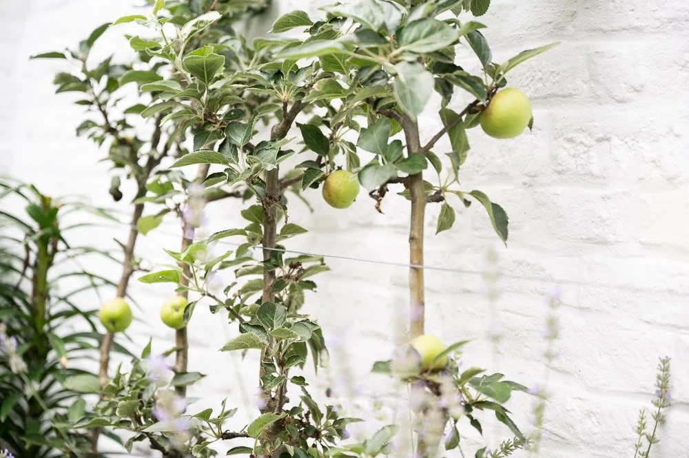 13ed9d2b-b6f0-4298-ad15-80570ac55bab