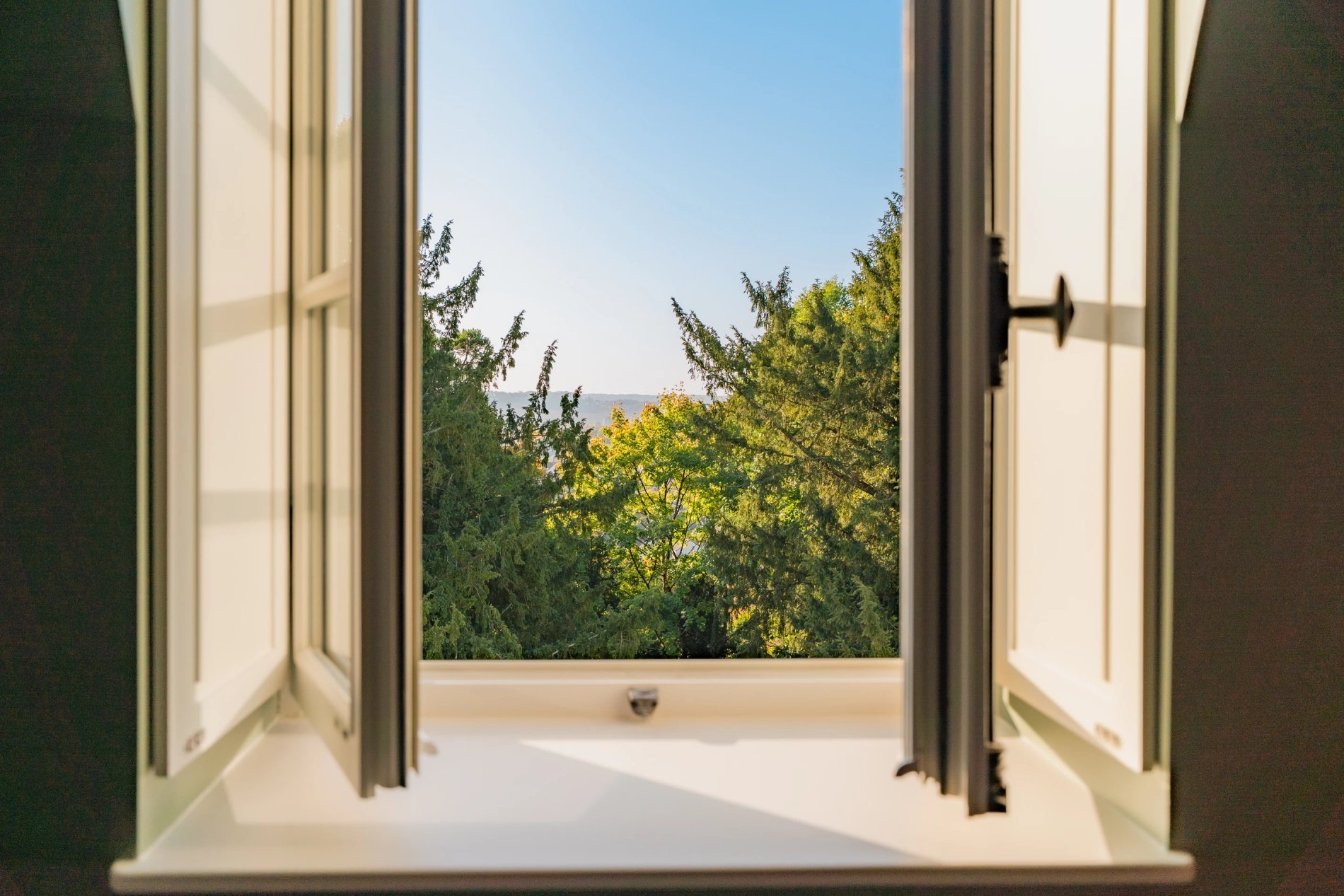 15c51551-dbdc-41c2-9487-1e0e5d04afa6