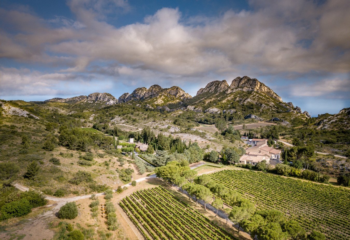 15e1ea03-d48b-4a88-839f-34517ba8da77