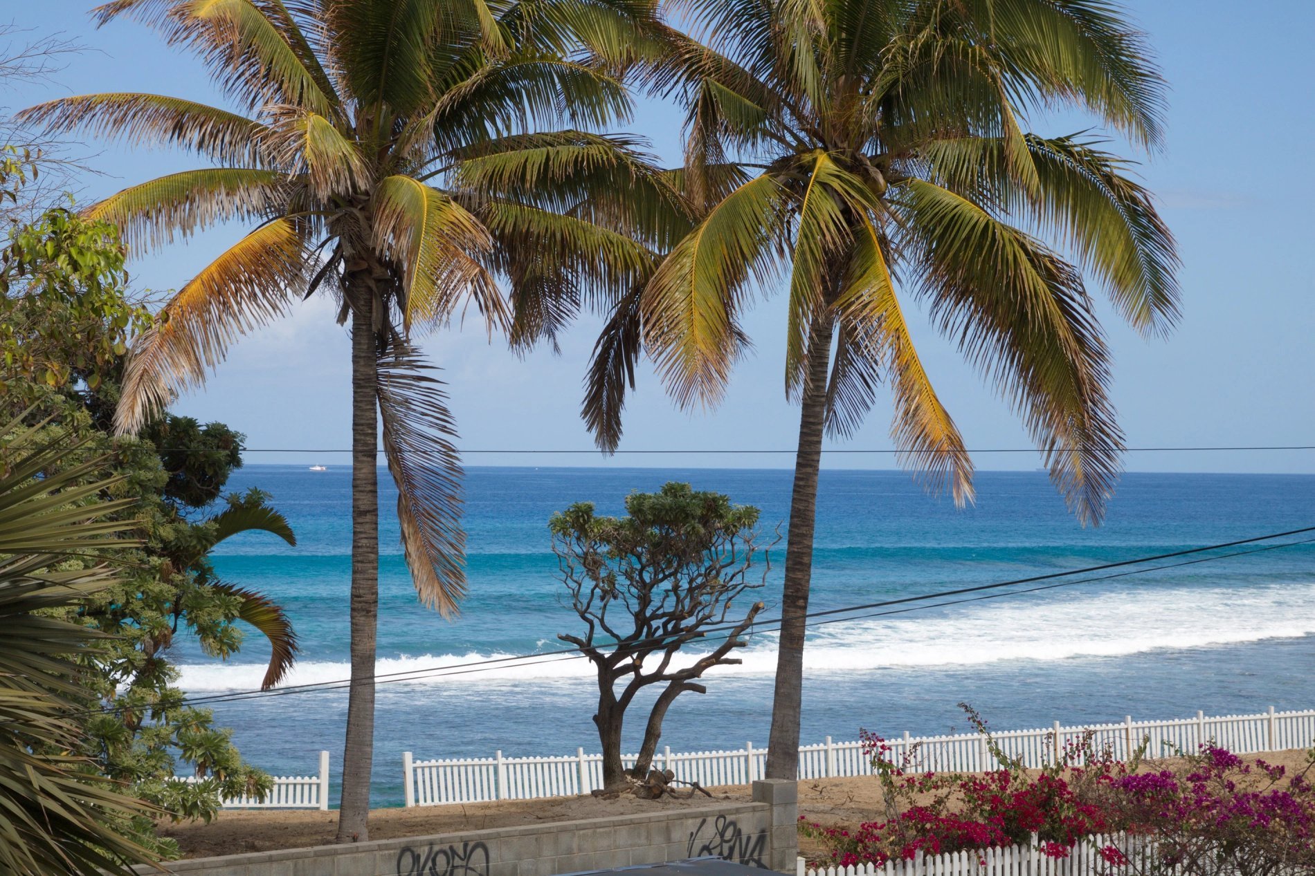 15faef02-4118-4836-9a51-eb8d6d9e48ca