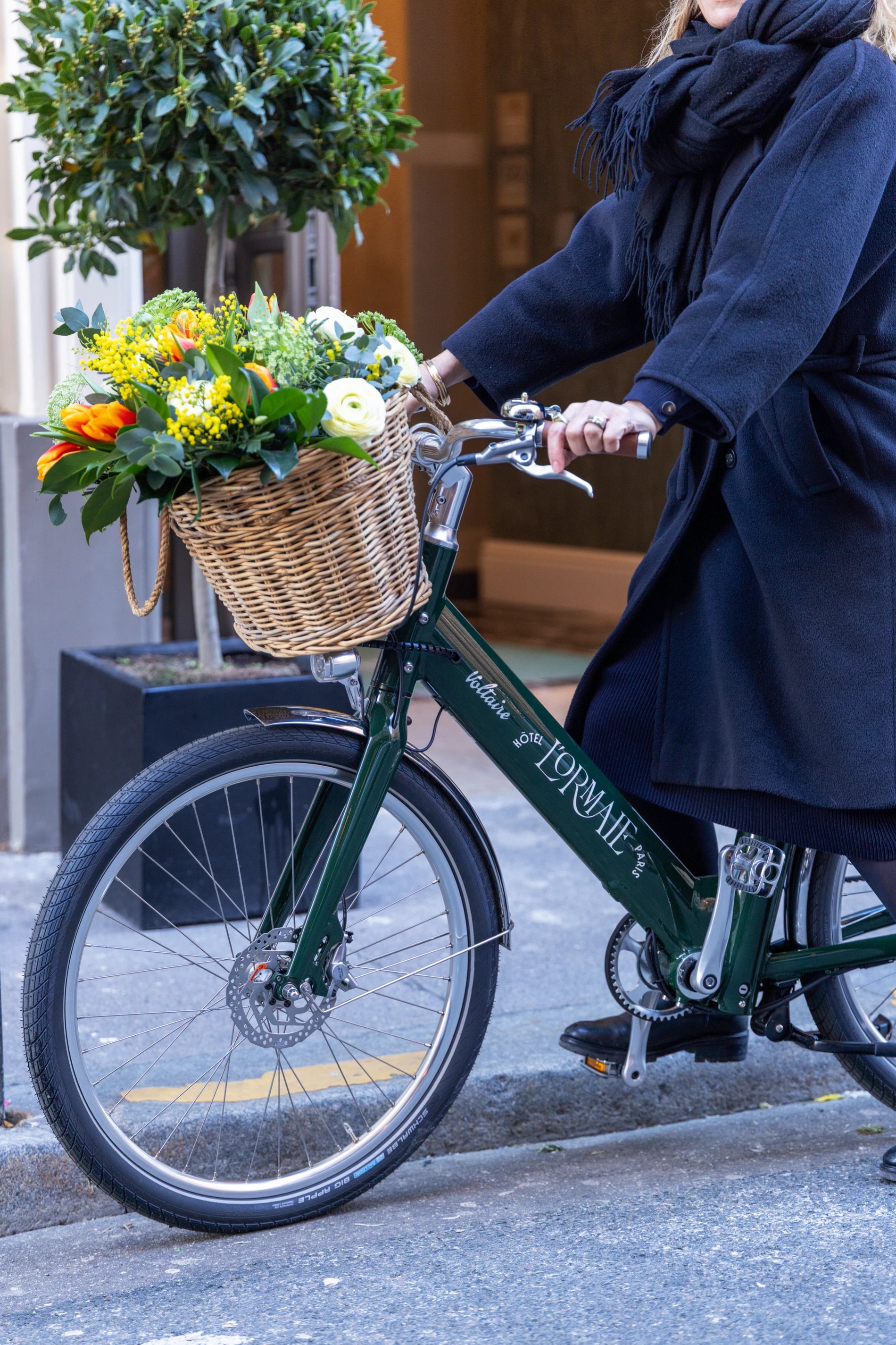 Hôtel L'Ormaie Location de vélos Voltaire