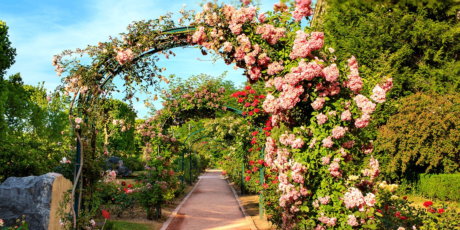 Le Jardin des Plantes à Paris, à 20 minutes de l'Hôtel Gramont