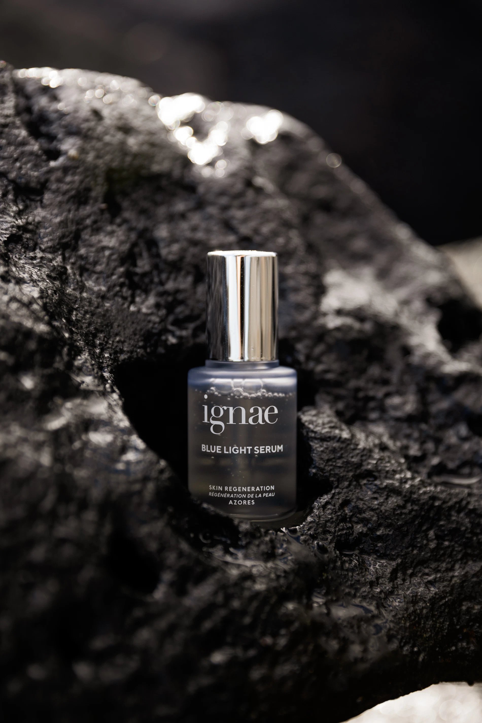 19c4115c-2637-428a-8f89-0d10a16d7d4d