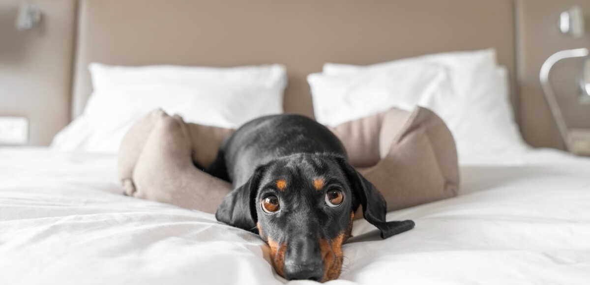 1b678d64-c910-4432-a10a-b39662469aa3