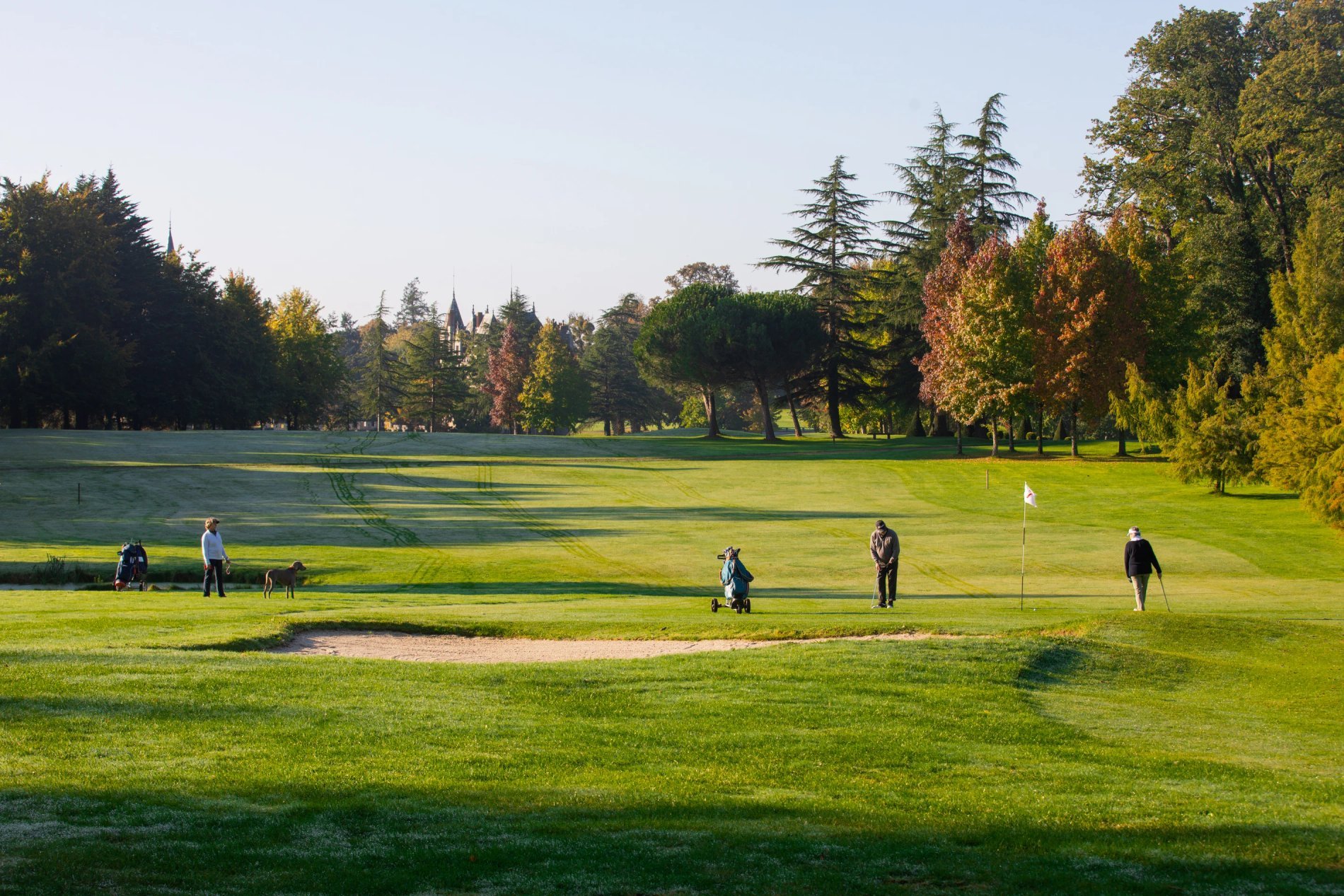 1bcd26dc-8f8c-4aff-8fb7-0504dae313c1