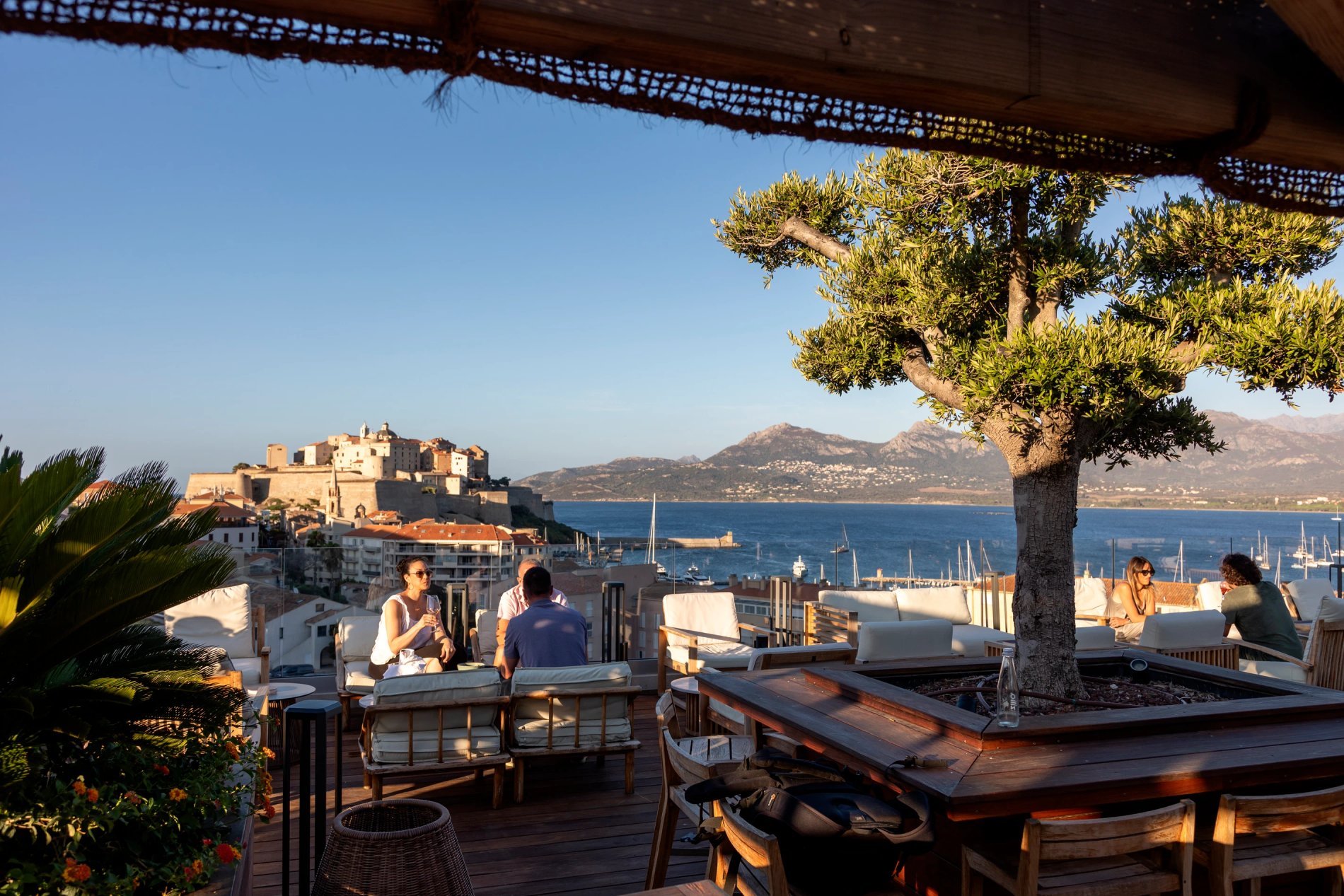 1c880a43-31bb-451e-b064-ec15e204c19e