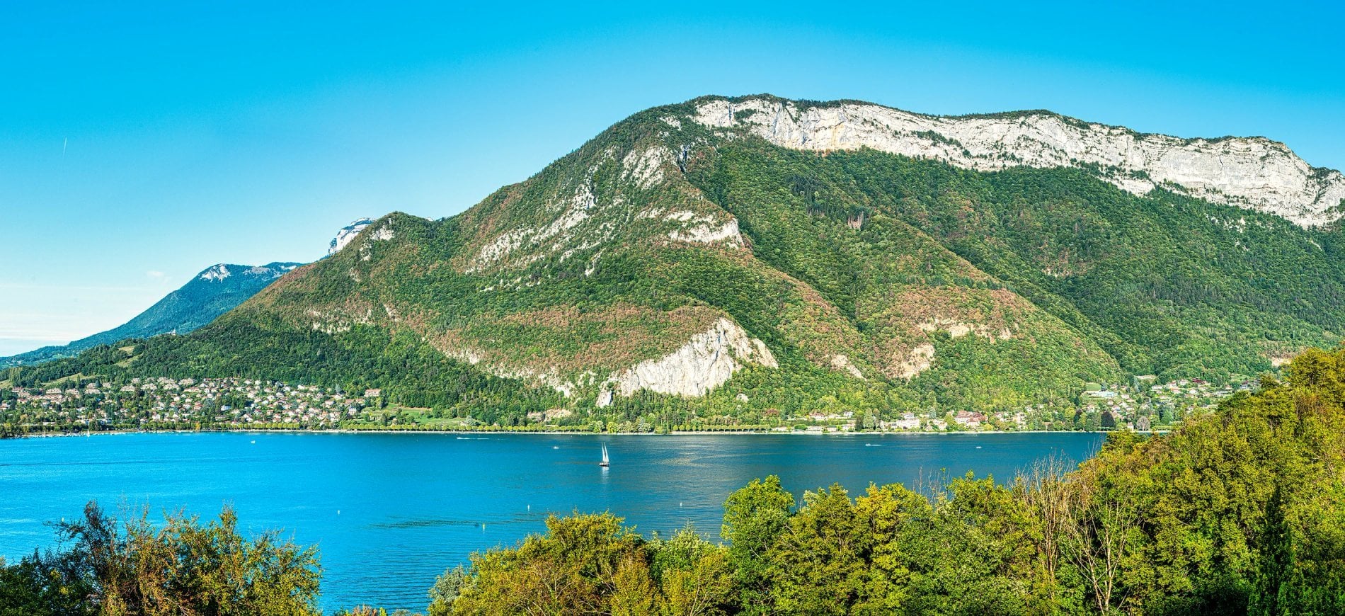 1d256eae-4109-40bf-98d6-dcd5b5c8e0a9