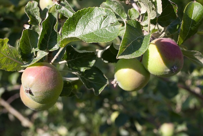 1d96b385-d408-43b3-8e09-afb65835144b