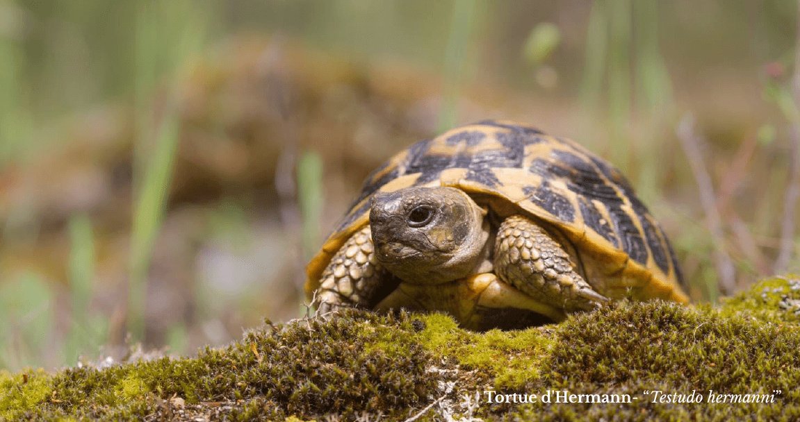 1e8f8311-d43d-4ef2-bb64-1051650270e0