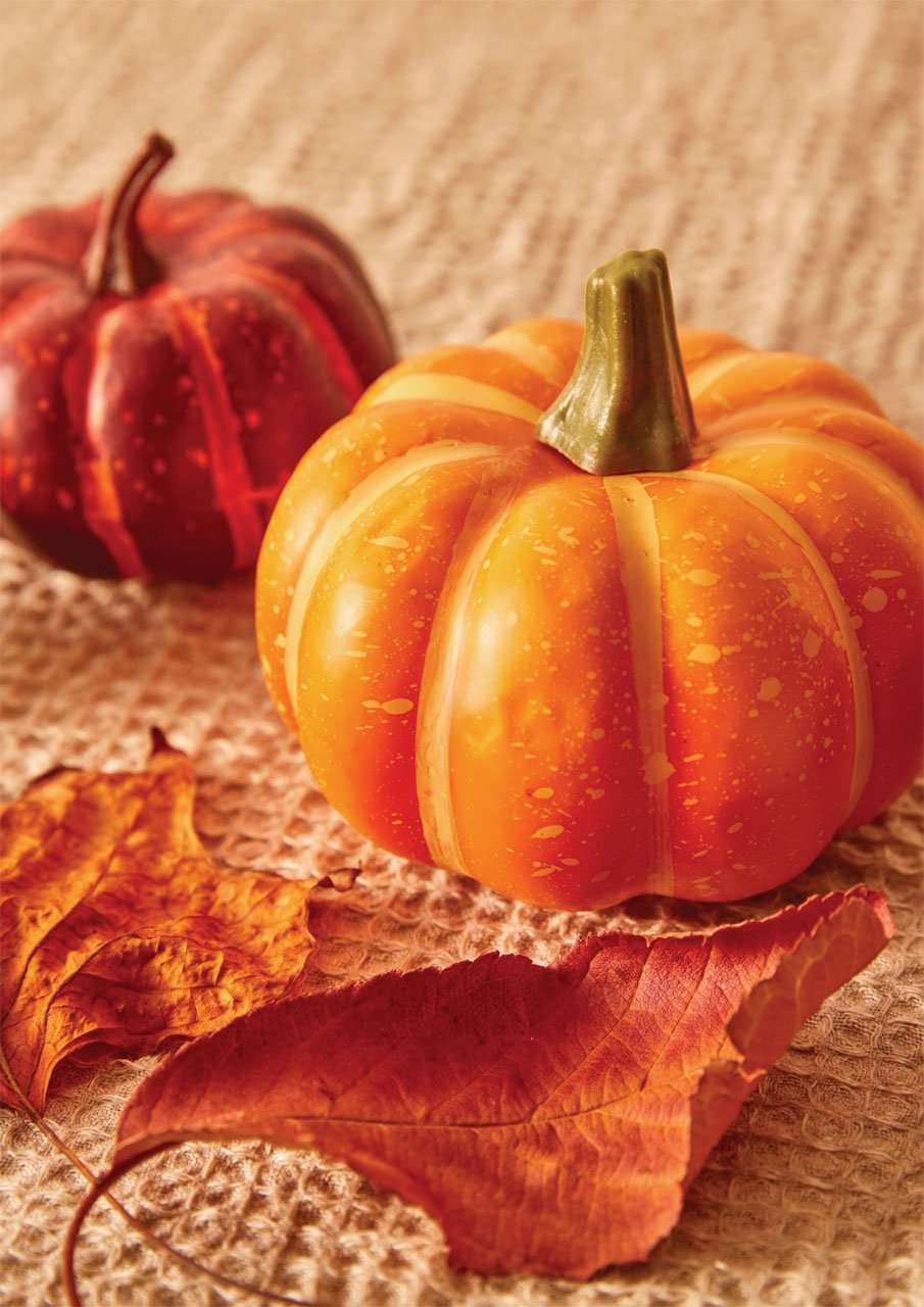 1ed47923-d909-4bee-ac96-b803218a4a4e