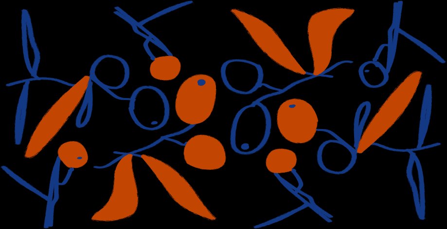 Bar Taulissa: Eléments graphiques Olives