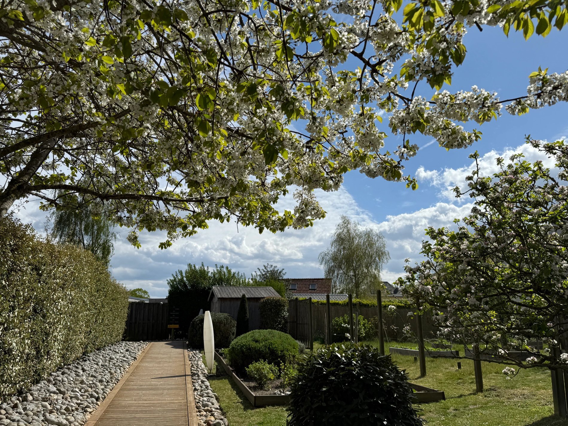 1fd891d4-690d-4867-8cac-cc785f881a31