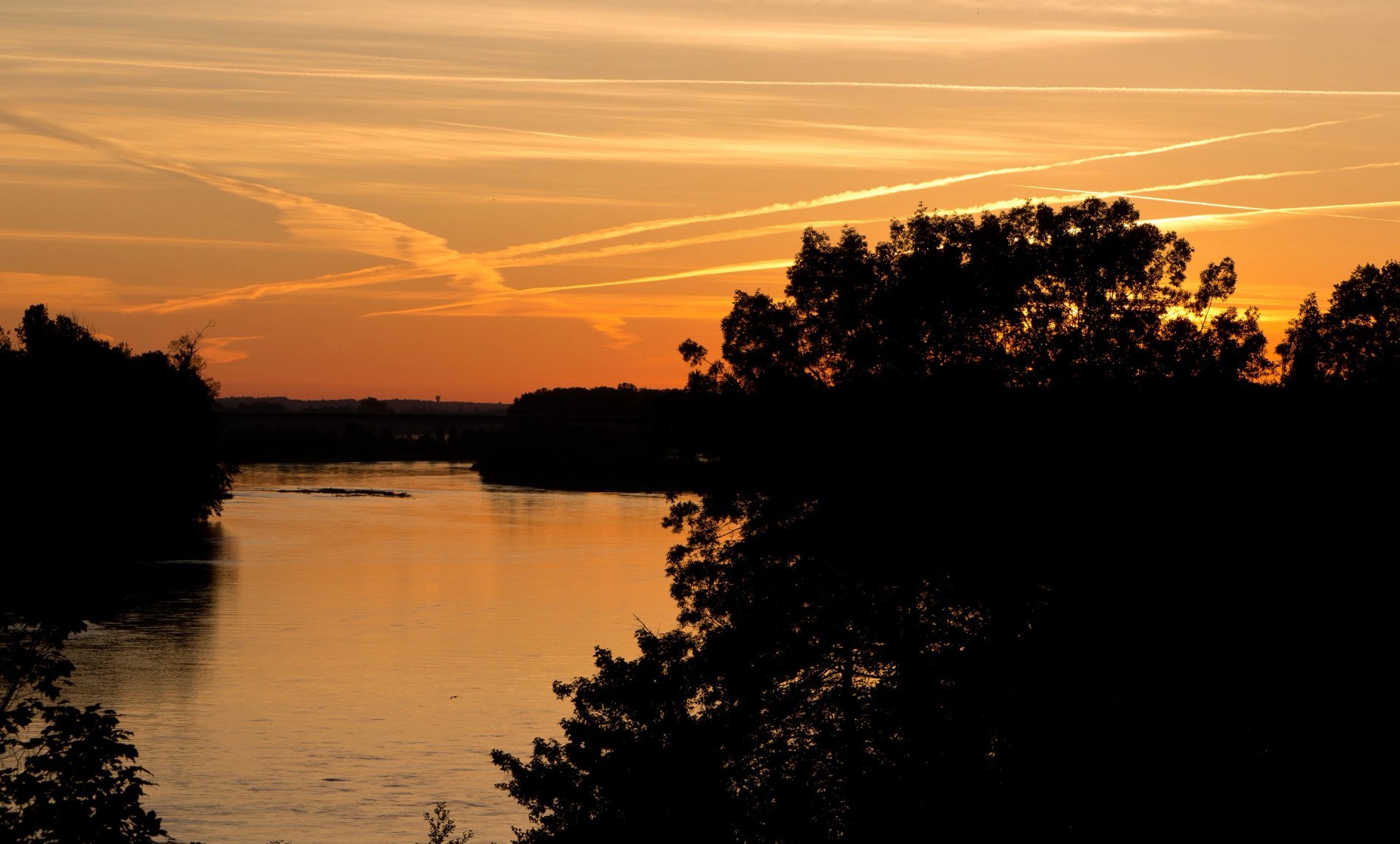 20329f5a-3ec8-4ca5-ad69-017ec75500c3