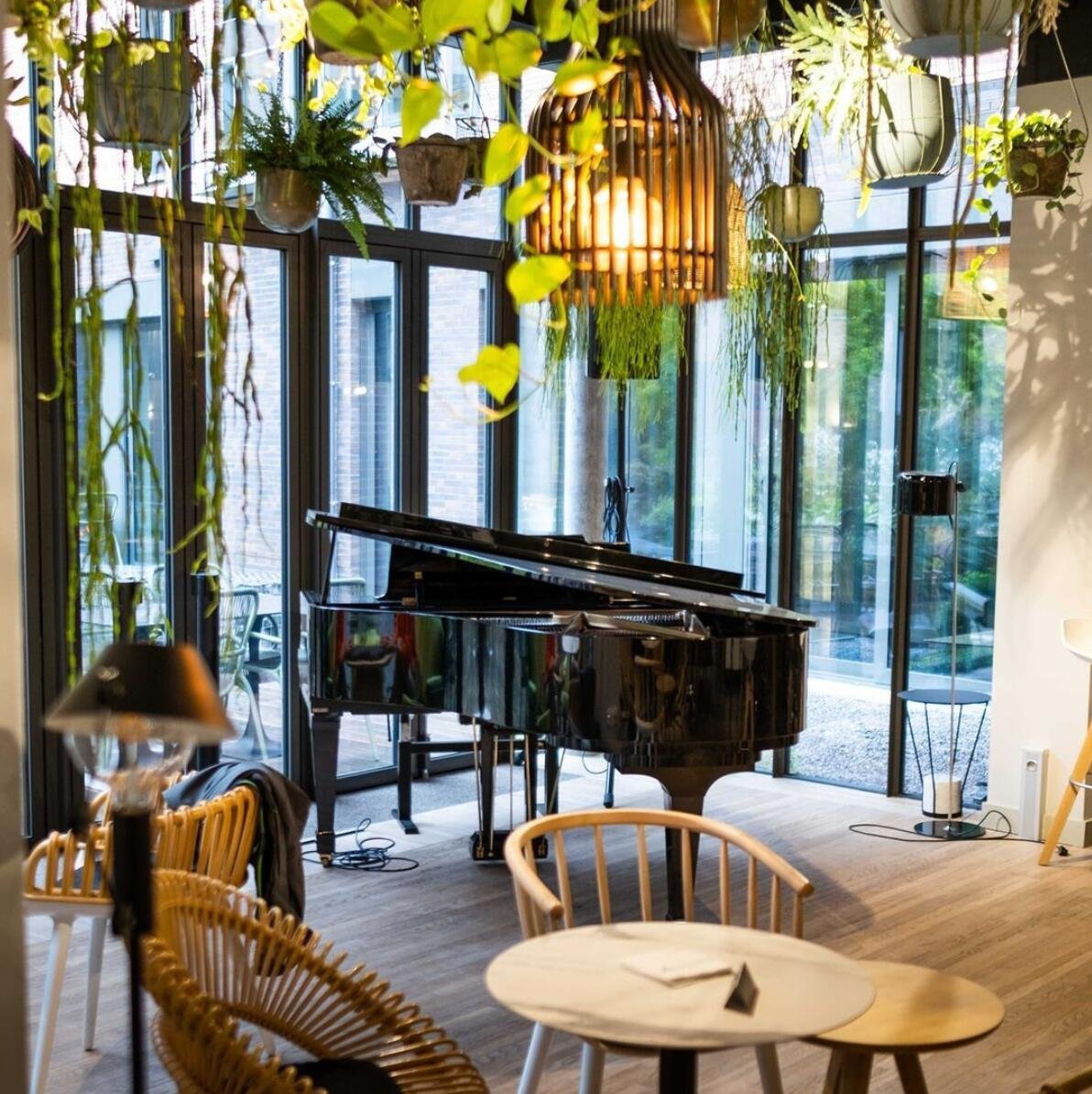 Klavier und Pflanzenambiente in der Bar Divino