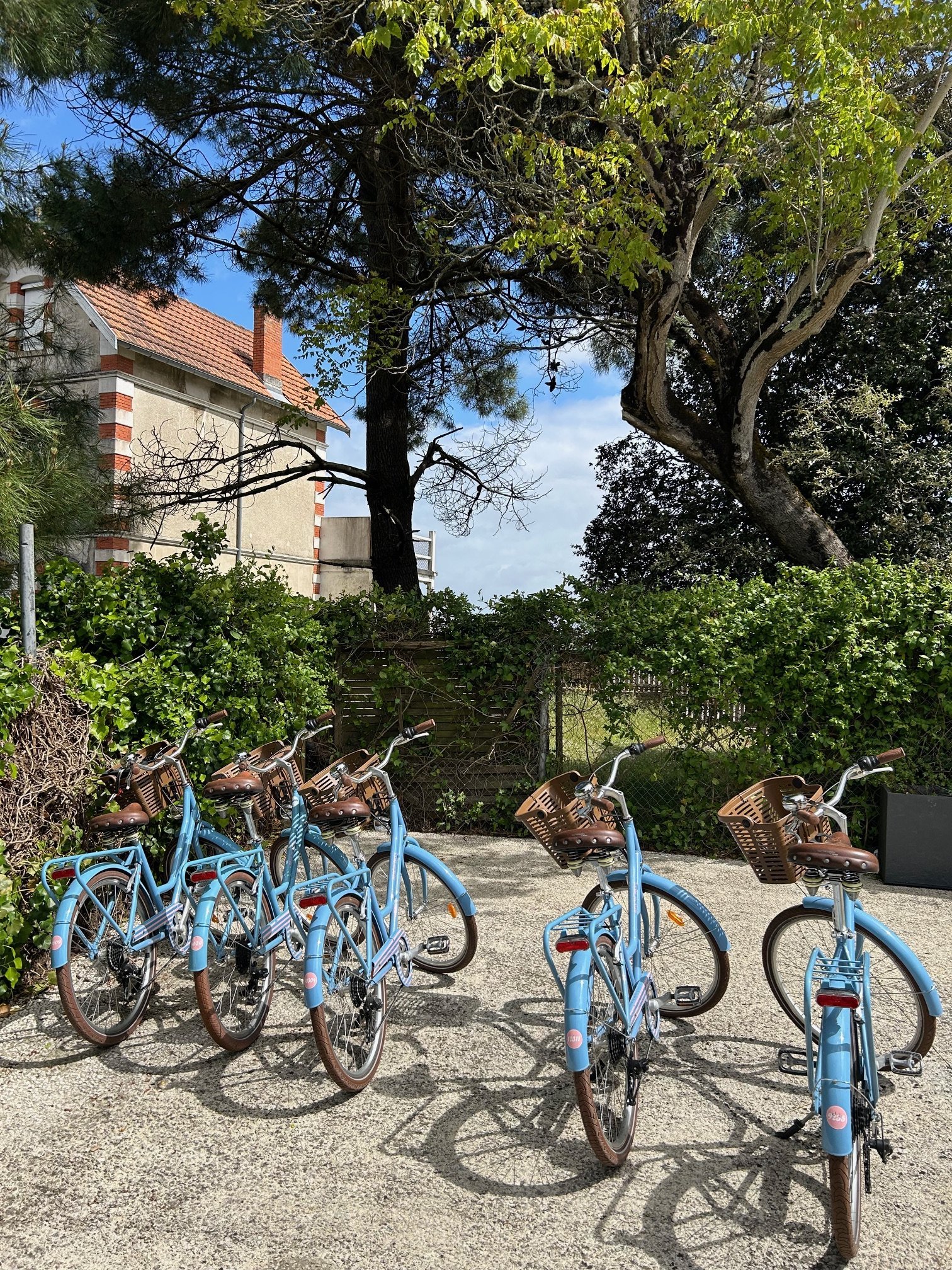 204ceddf-1036-4a70-a4a0-4a8c3f23e8b9