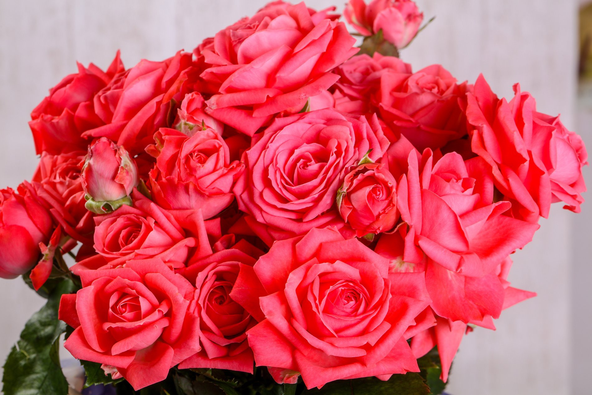 Hôtel SPA Le Lion d'Or | Bouquet de fleurs