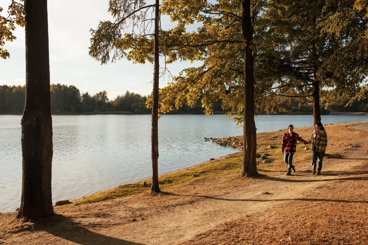 22486f14-ffbe-47c4-a7cf-0e0e3ee62cb1